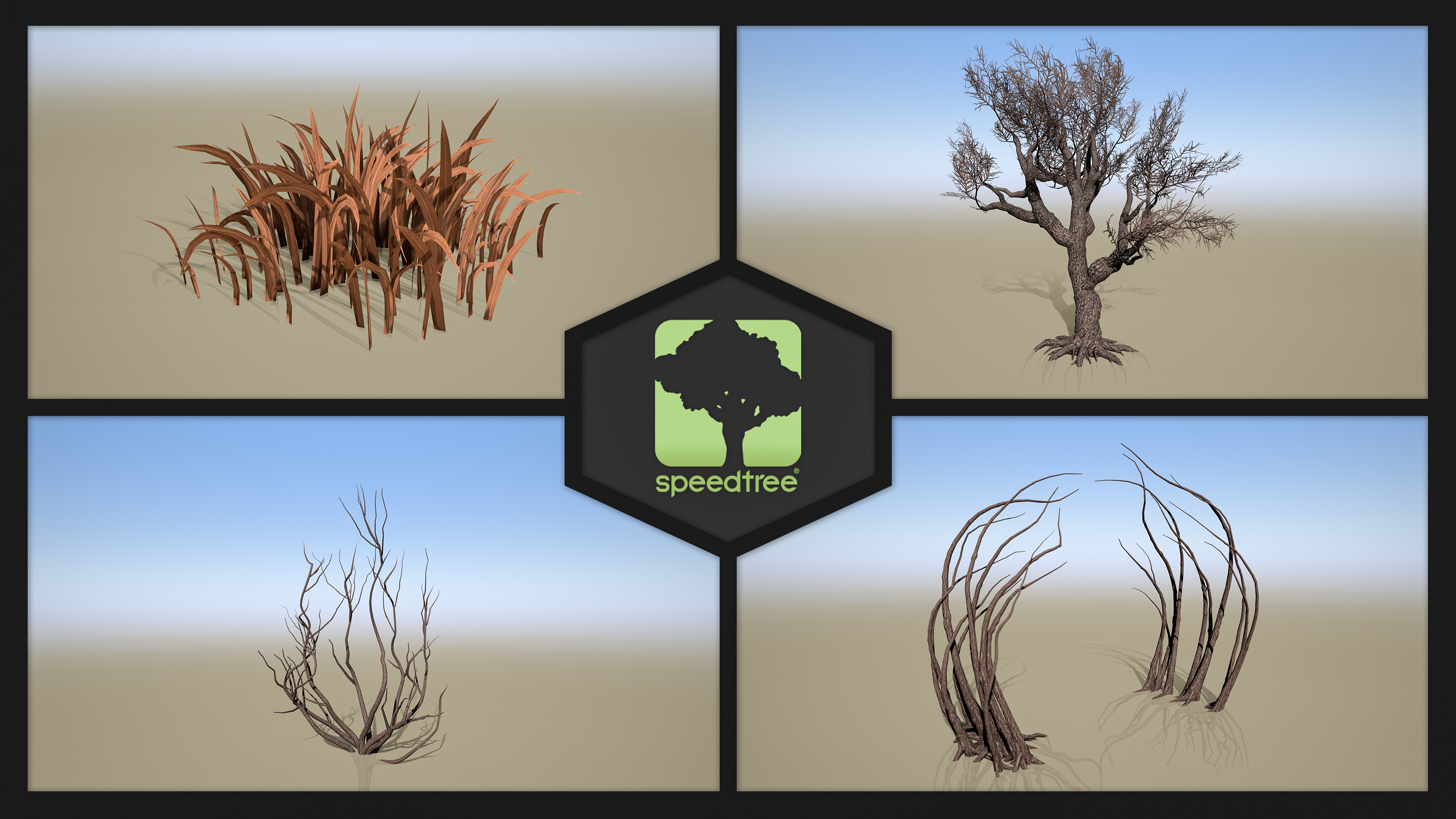 SpeedTree Procedural Generation of Foliage