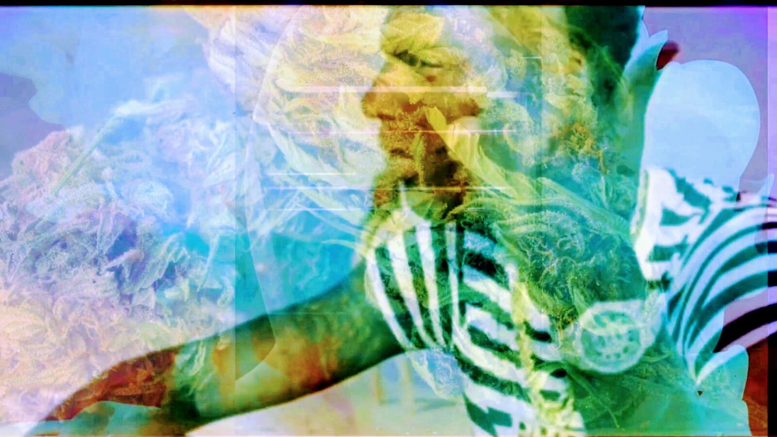 ষ্টুপিড জিনিয়াছ Scenes Young Dolph and Juicy J Naked Lady "Music