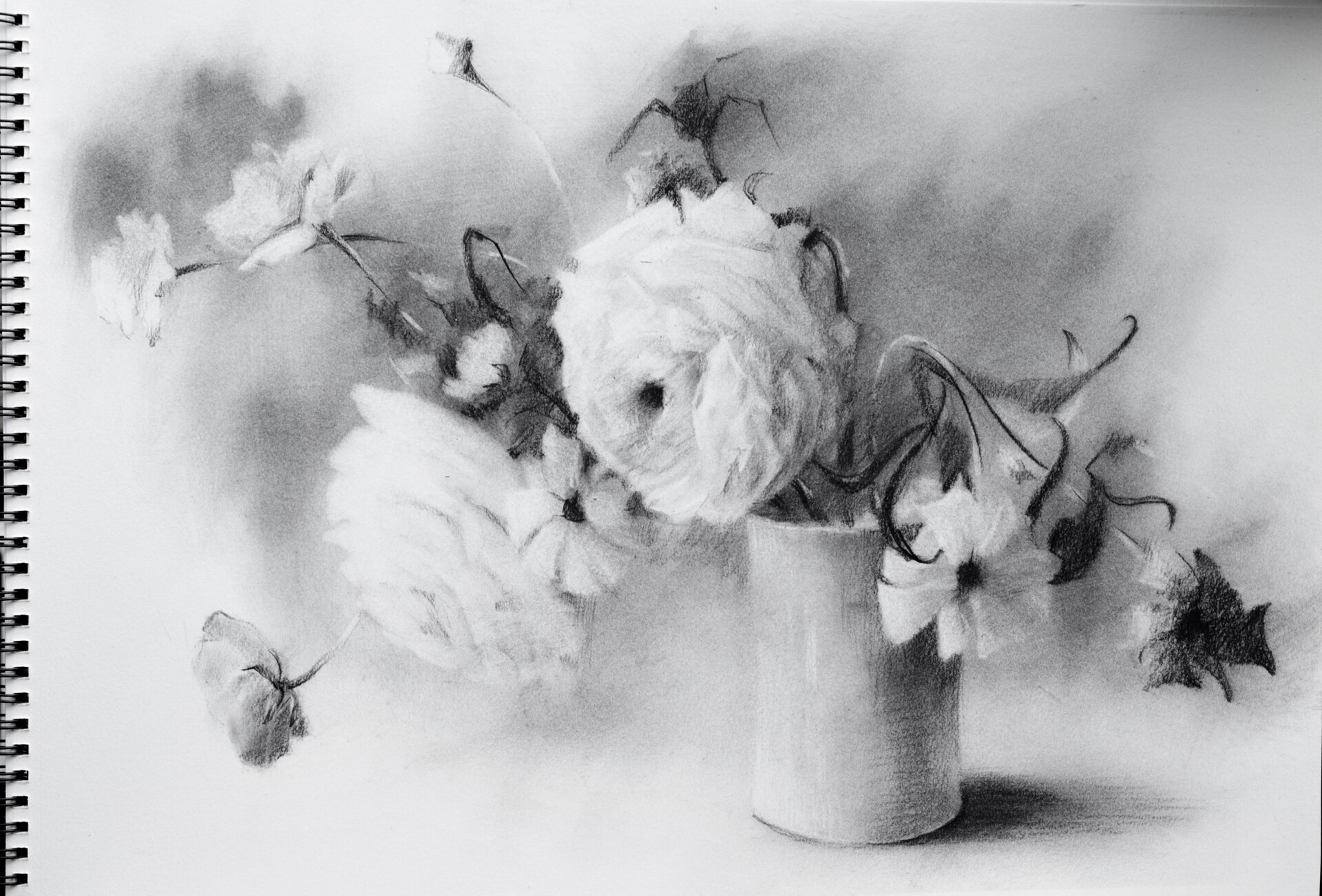 ArtStation - Charcoal drawing of Rose flowers