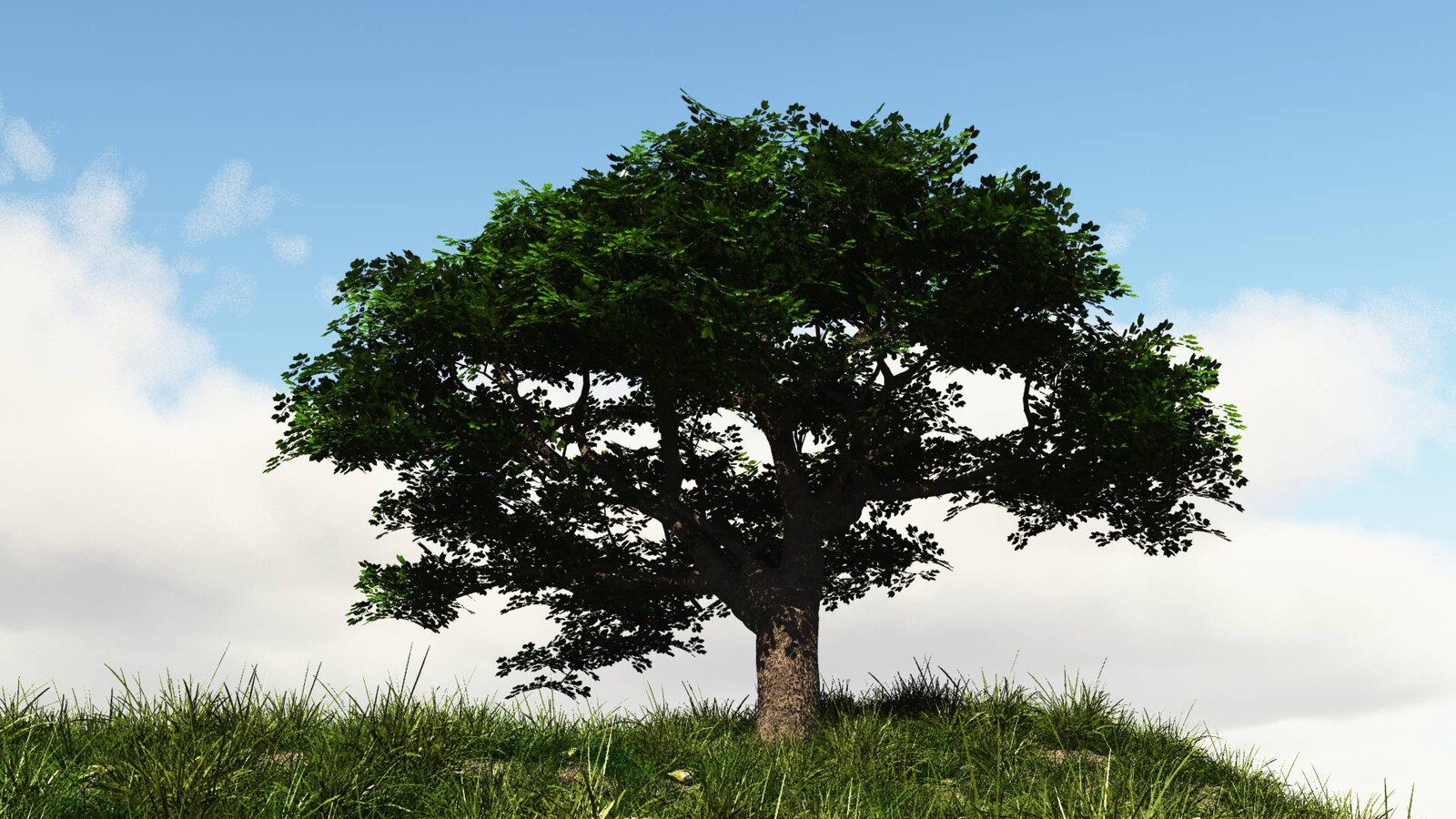 Lonely Tree, created in VUE.