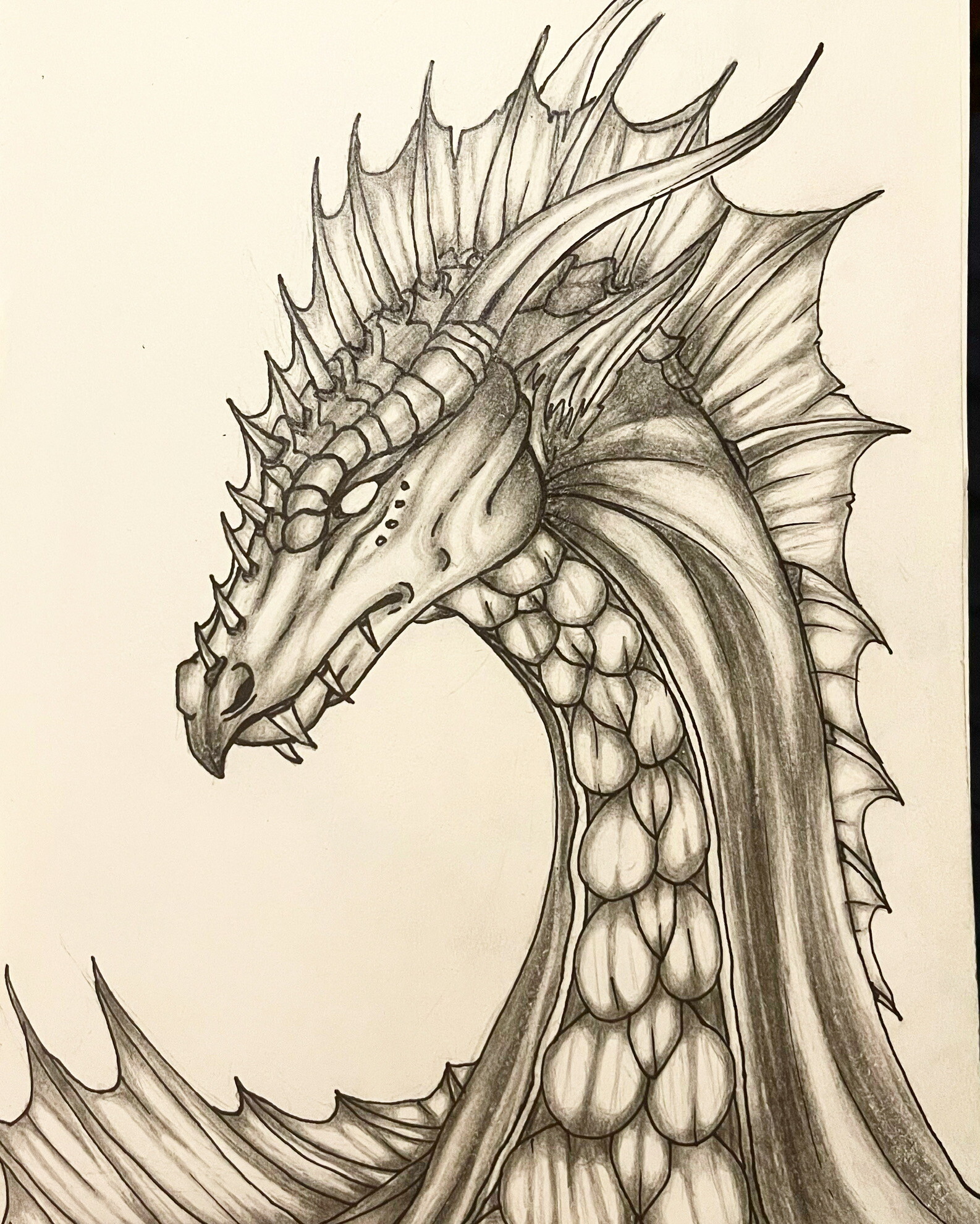 ArtStation - Dragon Study