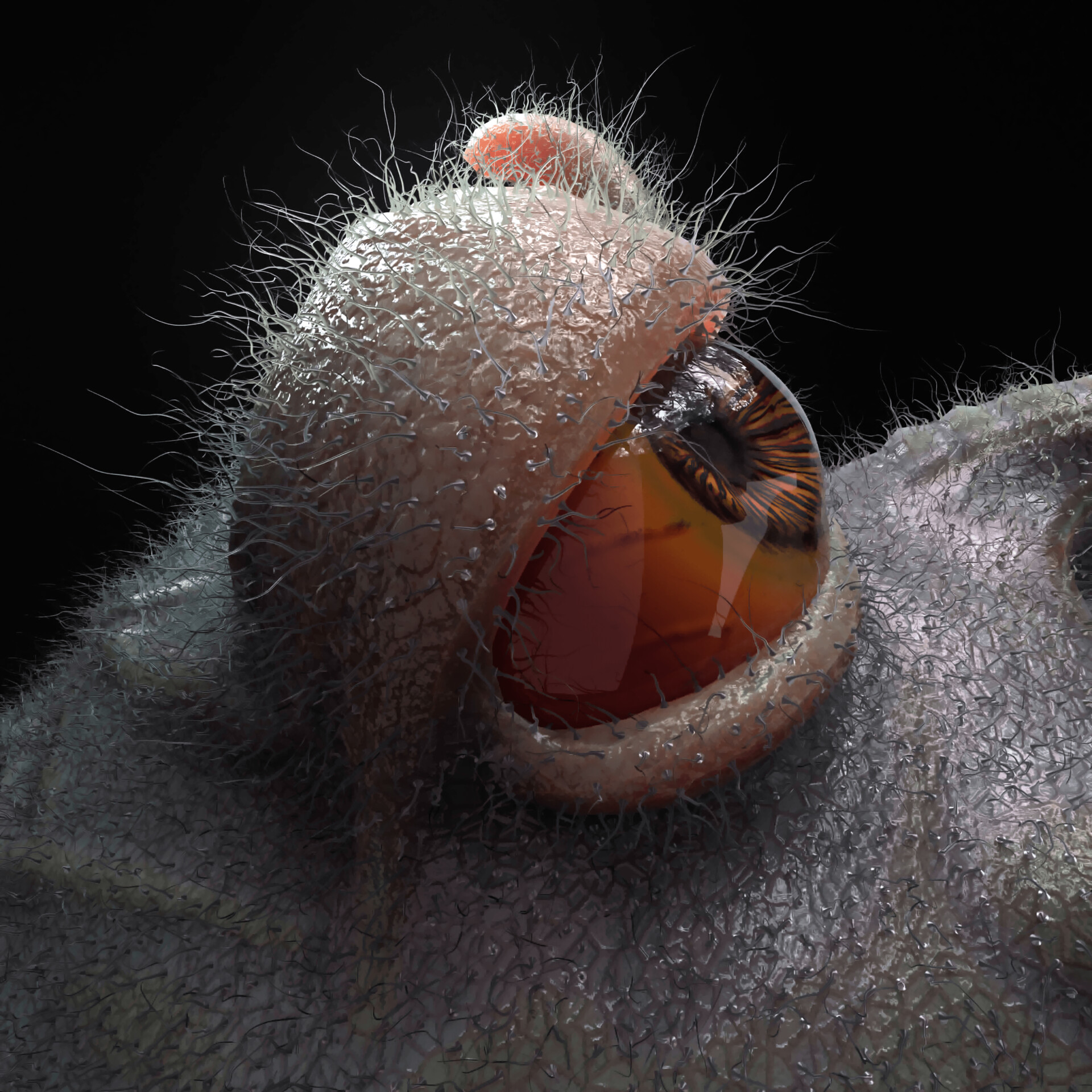 ArtStation Peashooter X Chomper