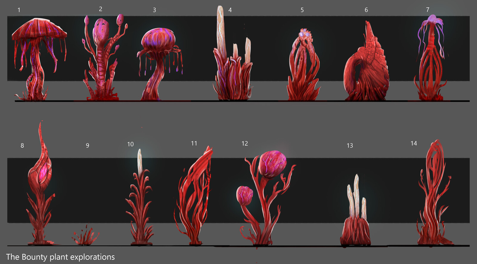 small plants exploration