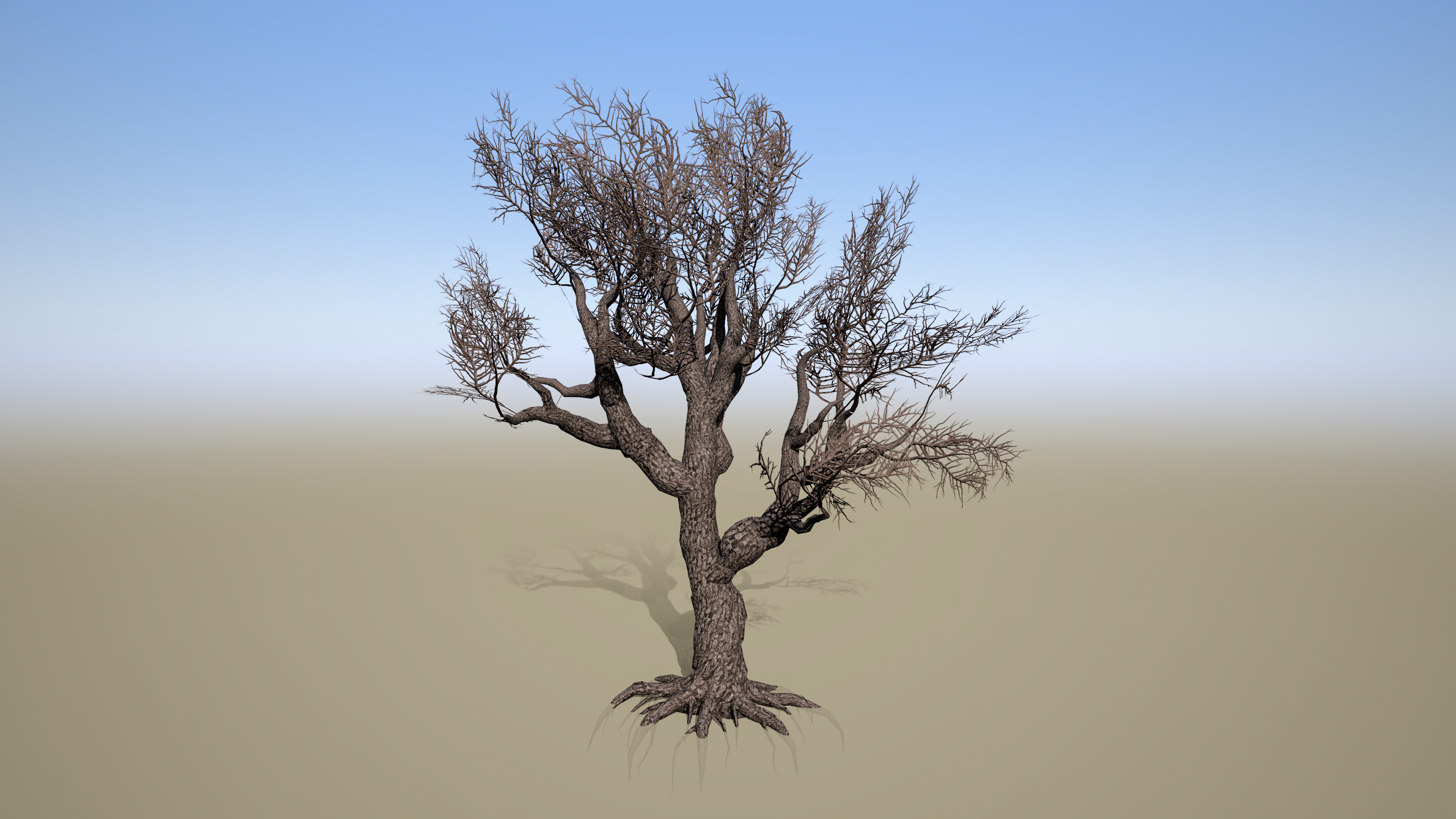 Tree Asset