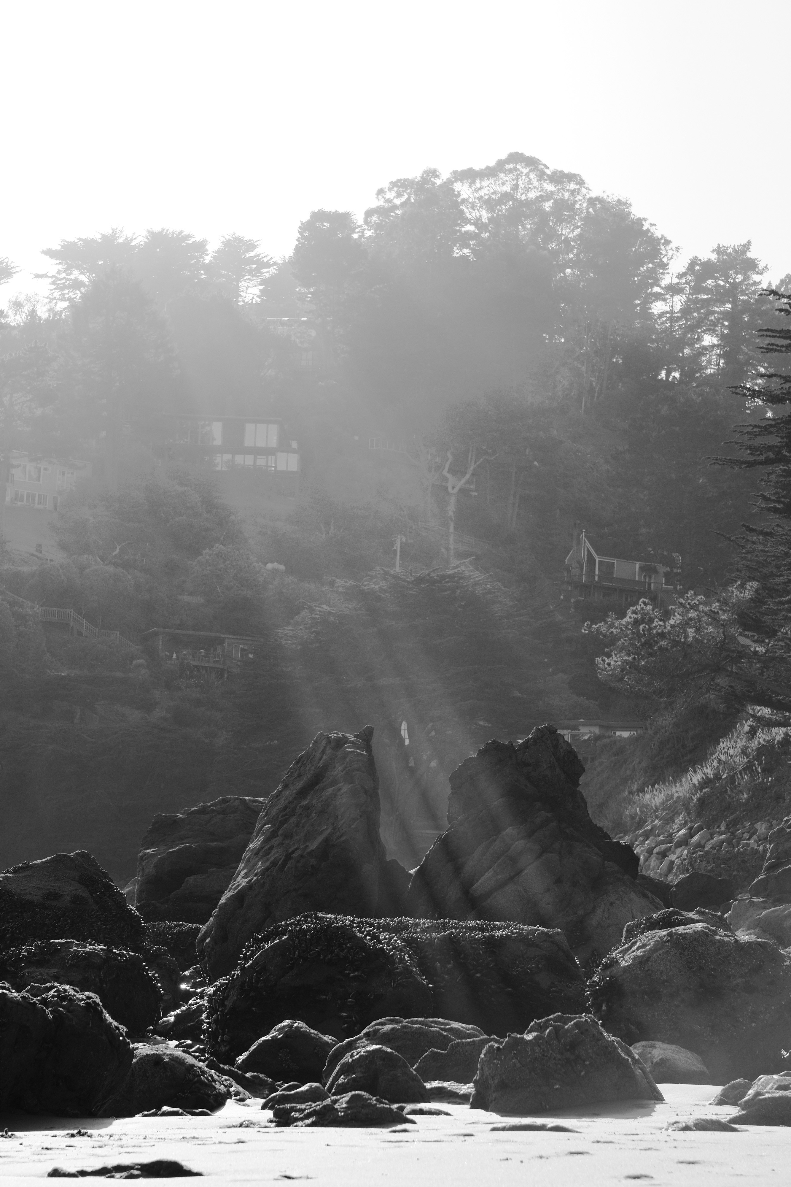 Photo Taken at Muir Beach, California
(Initial Inspirationn)