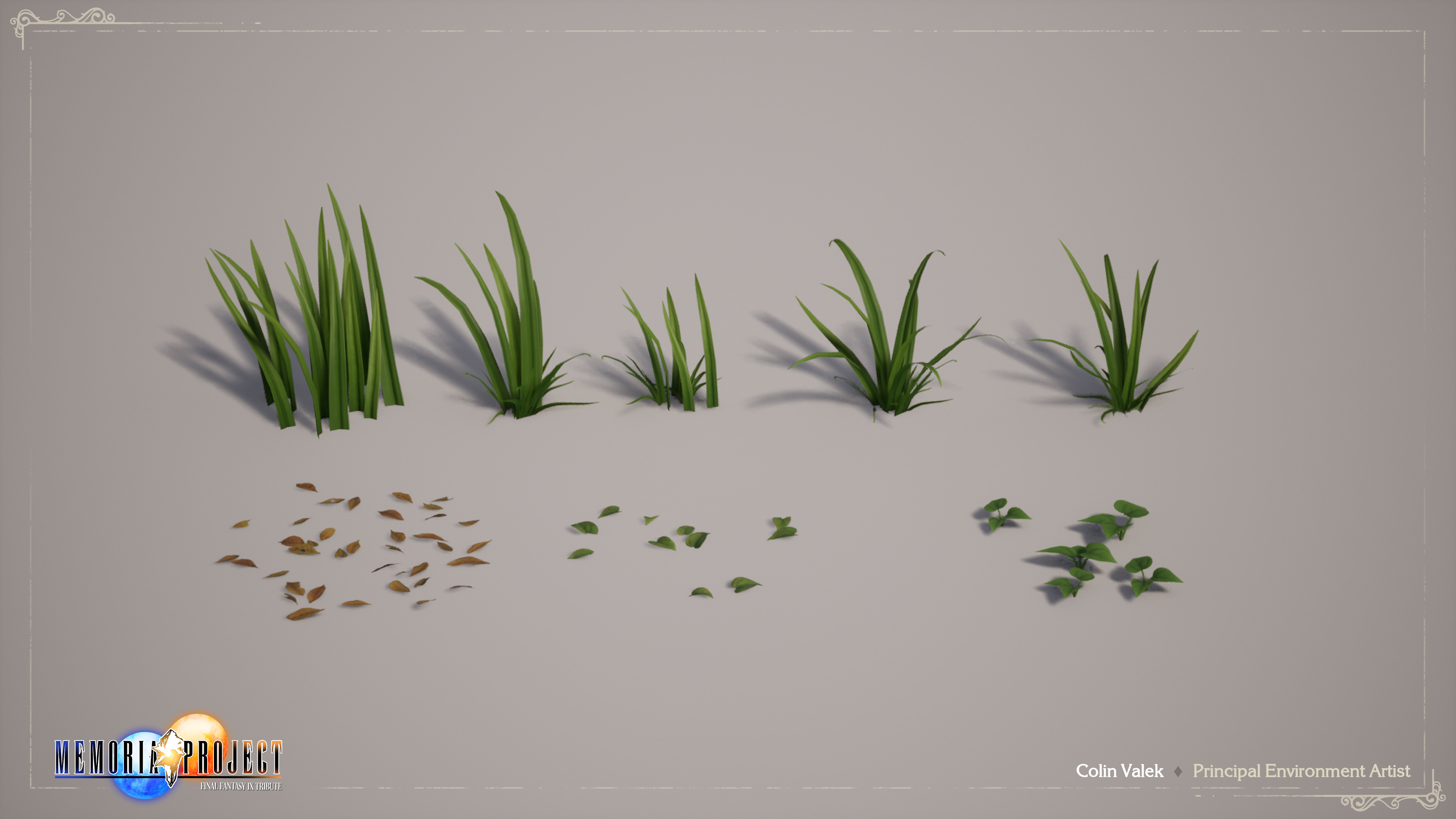 Grass, groundcover, and leaves