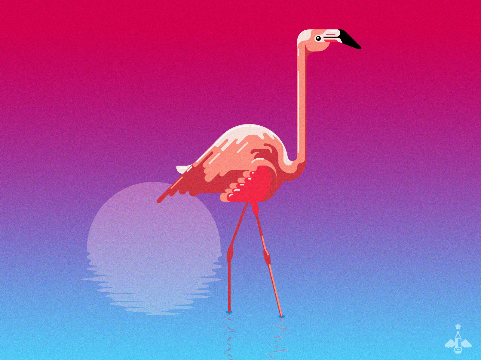 Flamingo