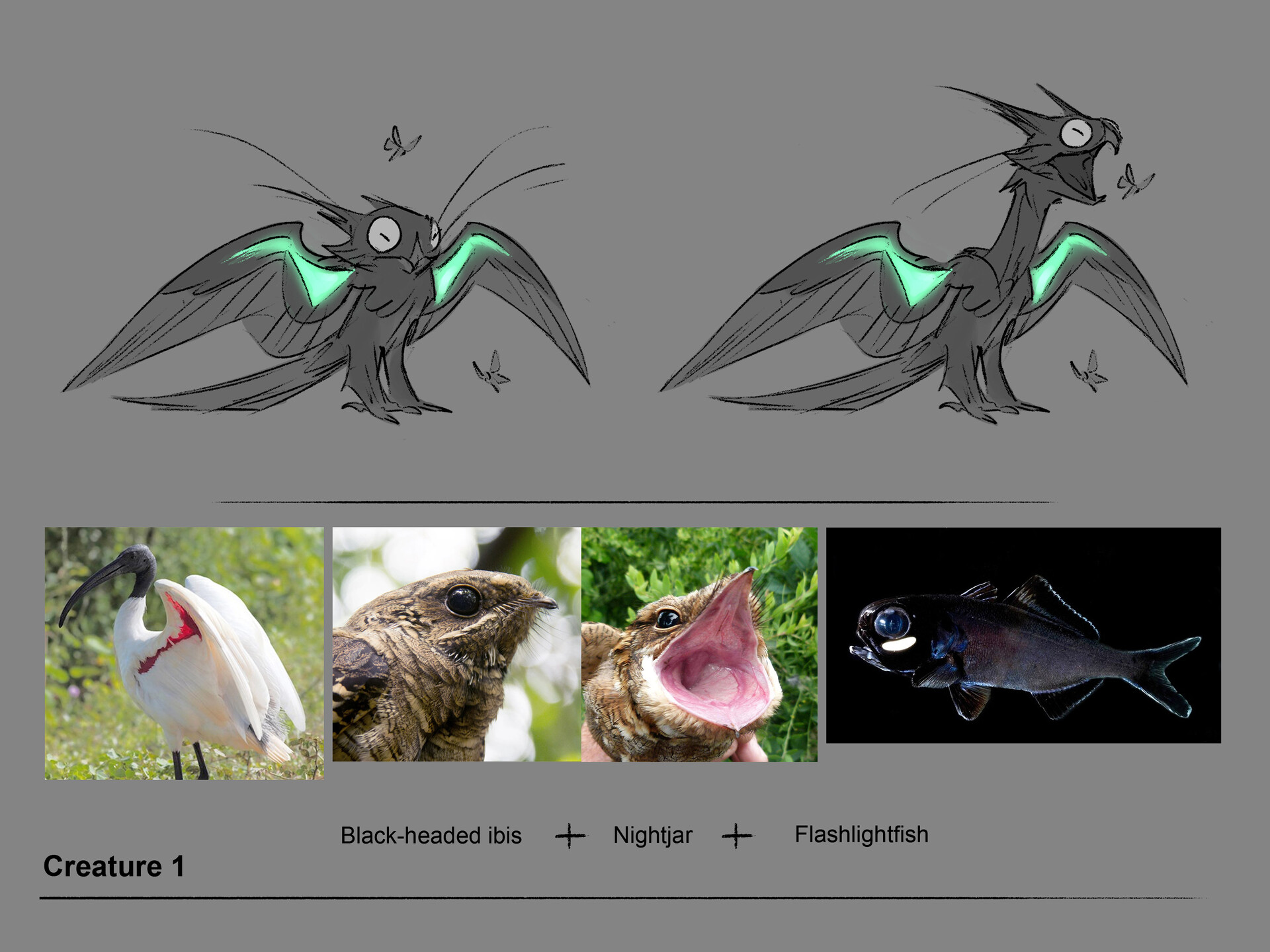 kika-lexova-cave-creature-design