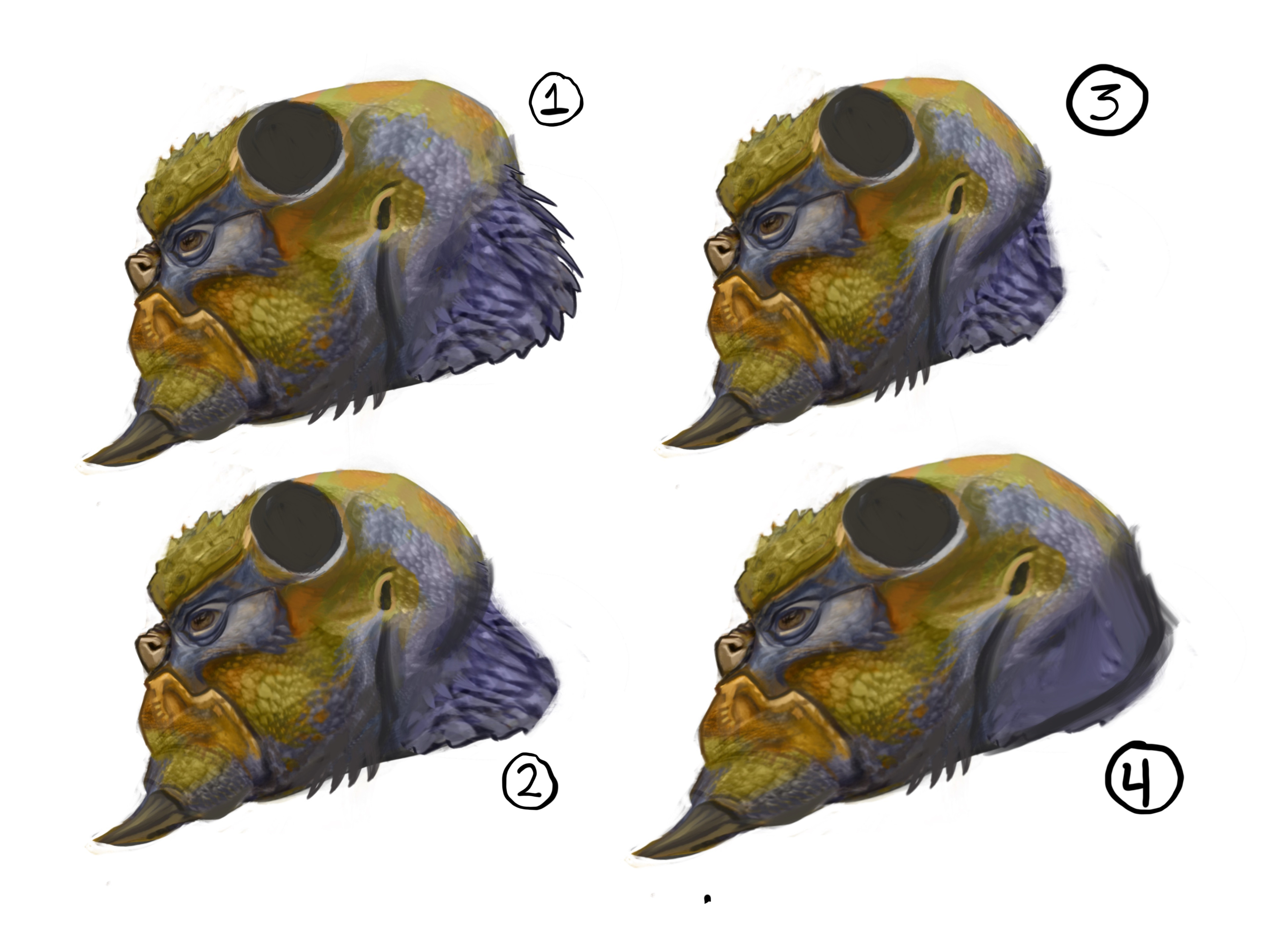 Head exploration