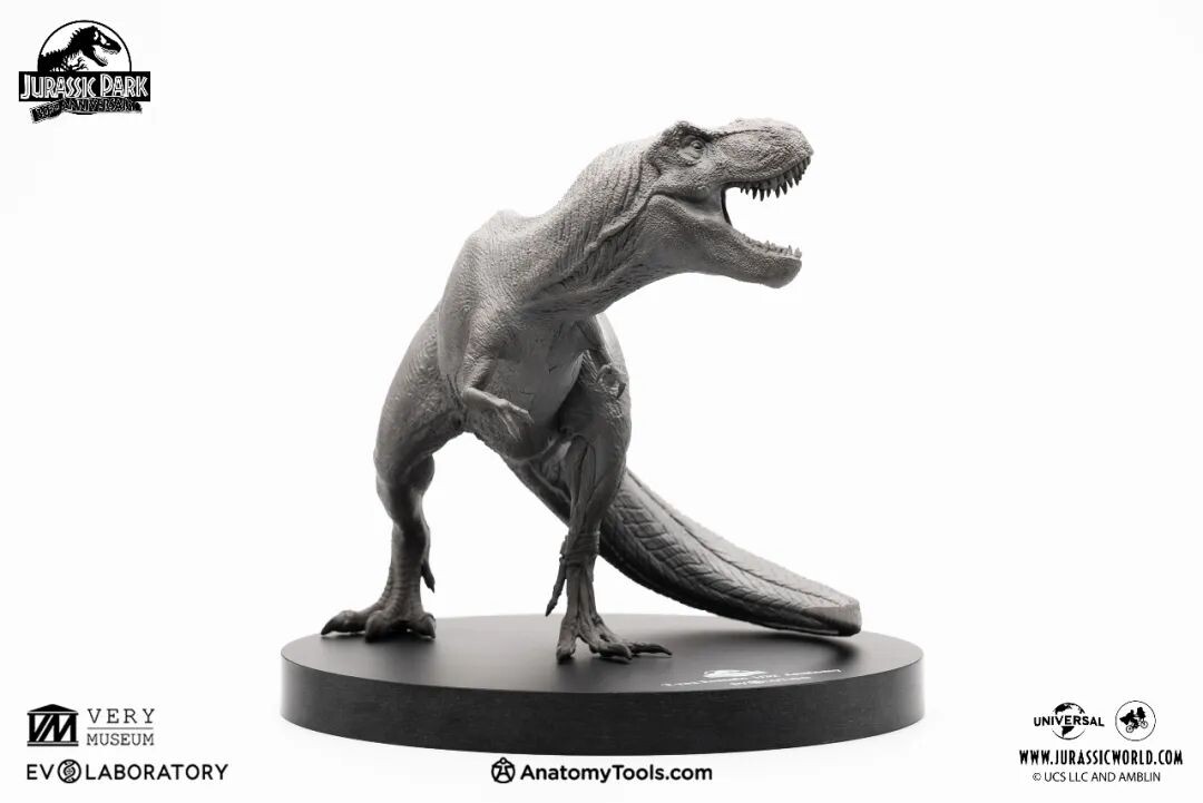 EVO BP - Female Trex