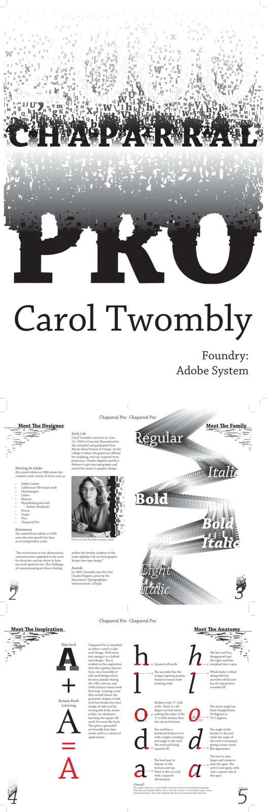 Typography Showcase: For VC - 202. We were tasked to create an advertisement to a font.