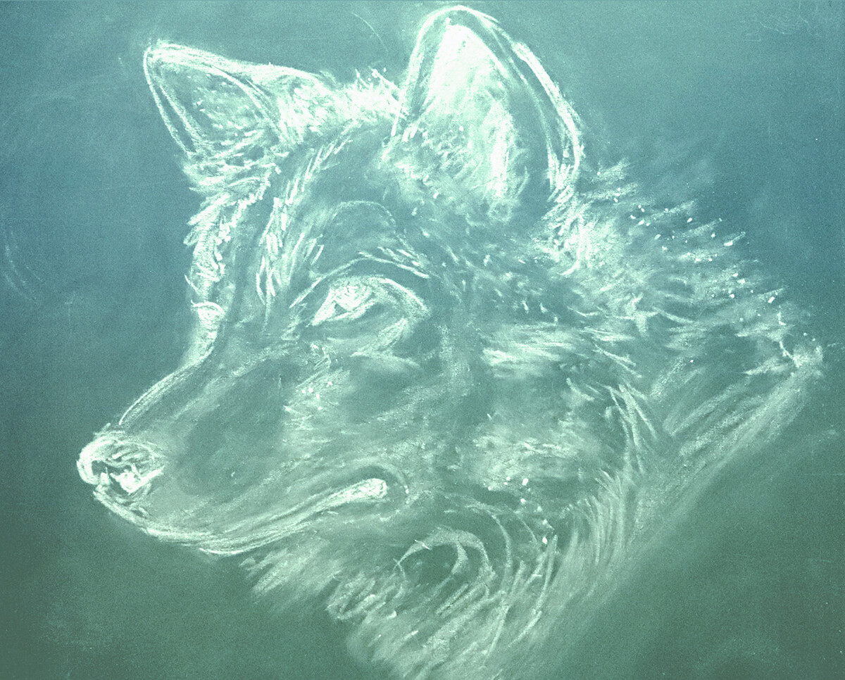 ArtStation Chalk art on blackboard wolf art portrait drawing