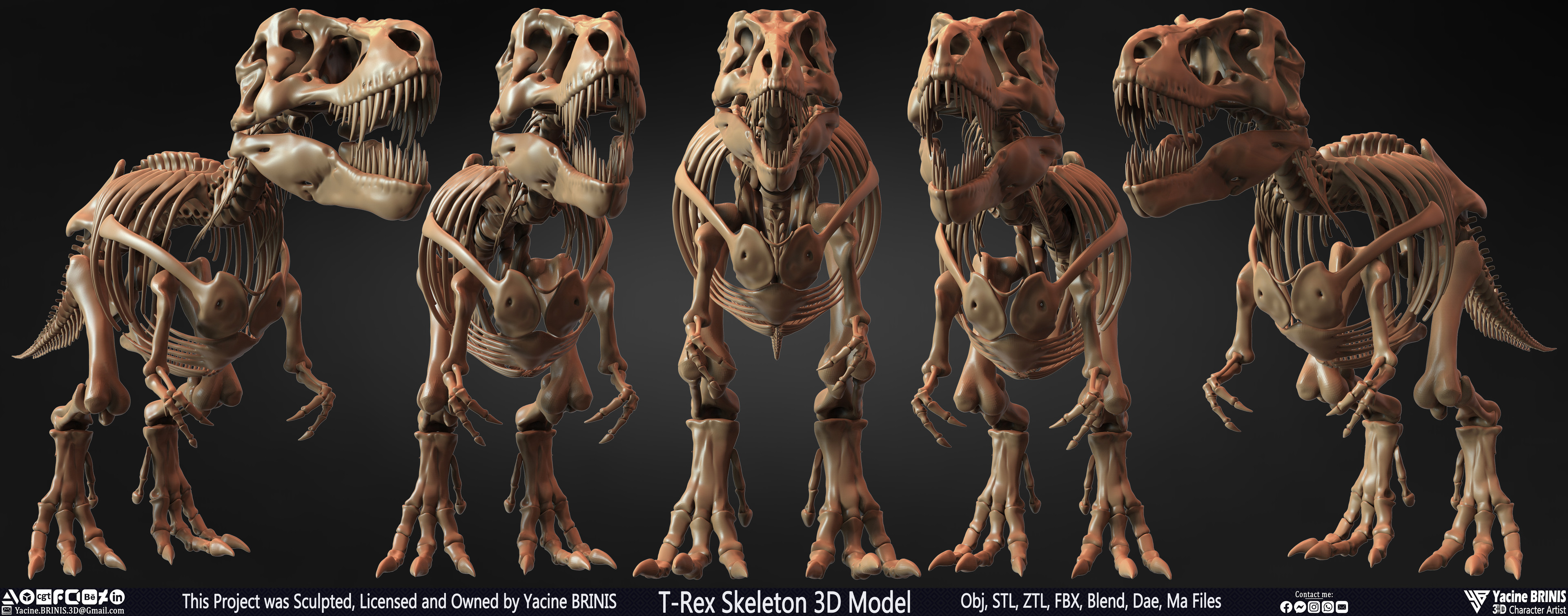 T-Rex Skeleton 3D Model (Tyrannosaurus Rex) Sculpted By Yacine BRINIS Set 002