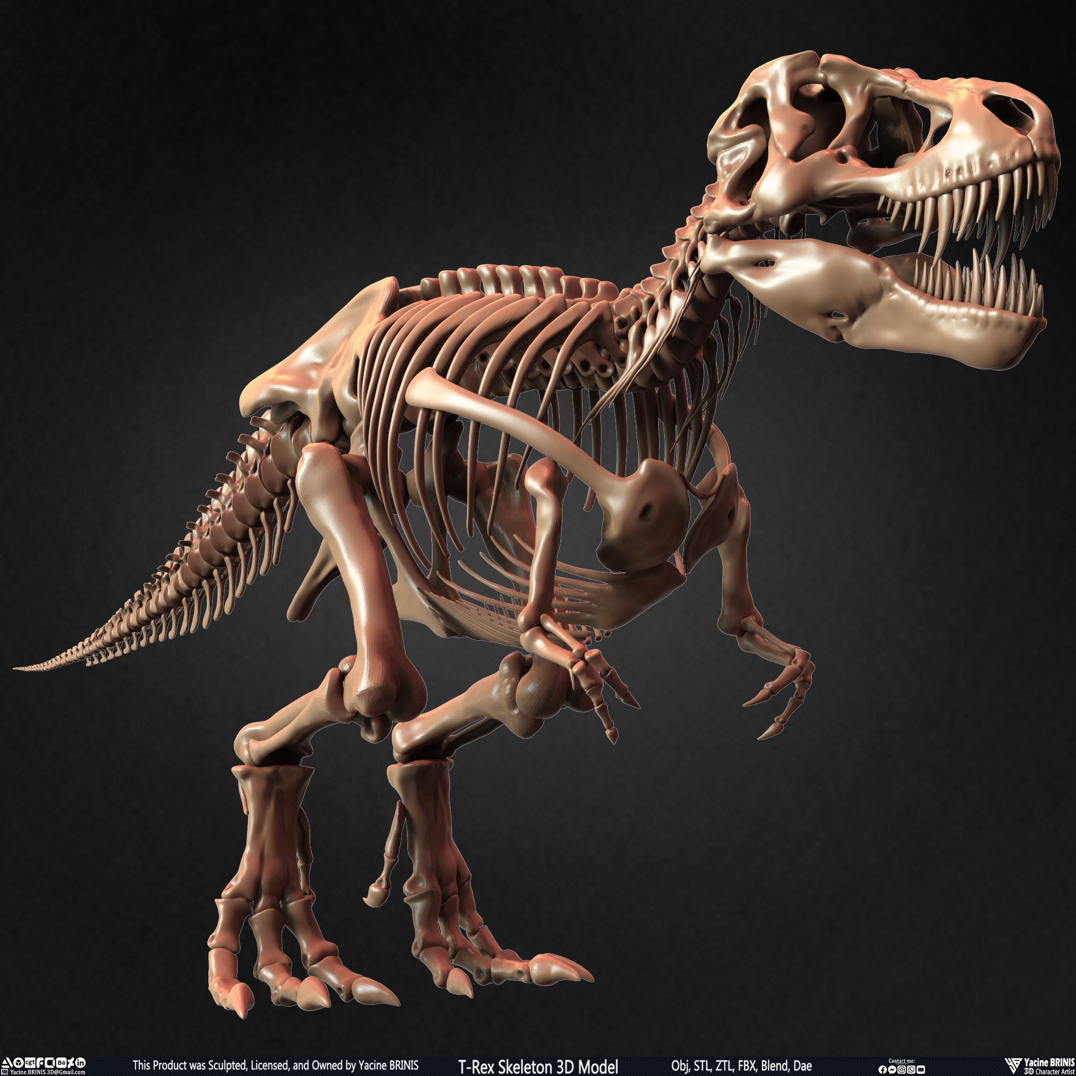 T-Rex Skeleton 3D Model (Tyrannosaurus Rex) Sculpted By Yacine BRINIS Set 004