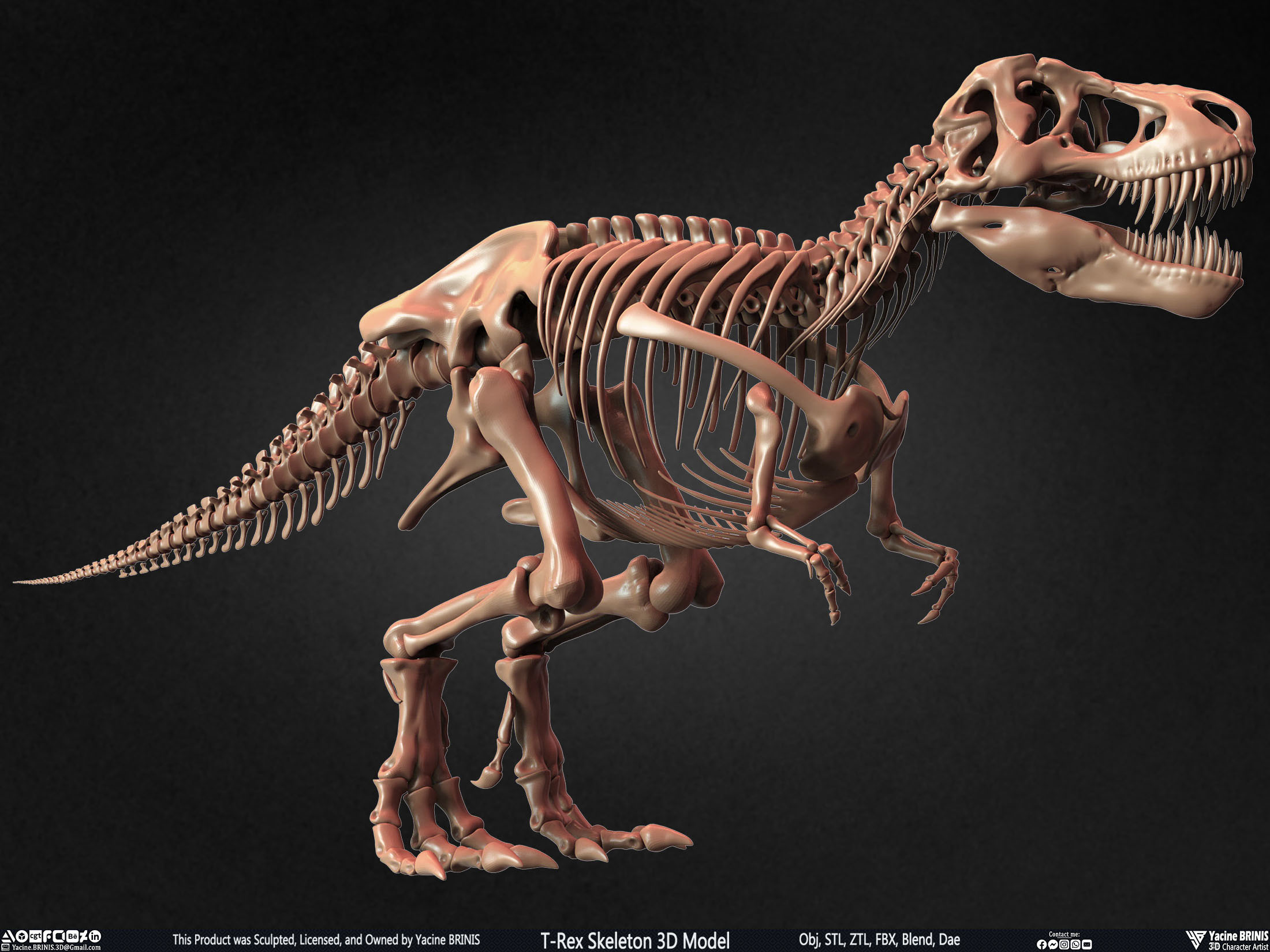 T-Rex Skeleton 3D Model (Tyrannosaurus Rex) Sculpted By Yacine BRINIS Set 005