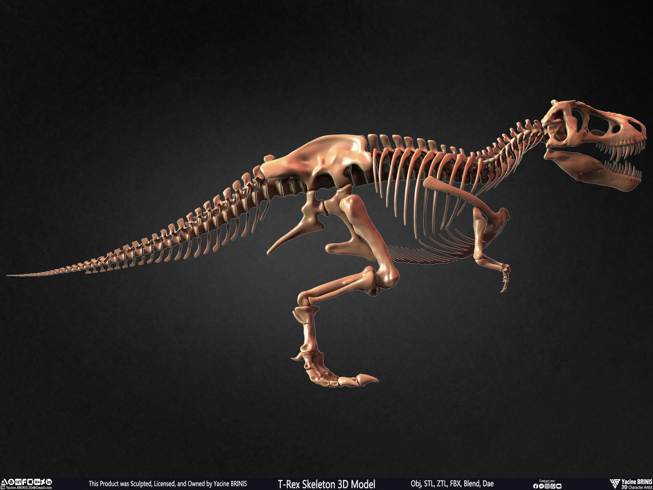 T-Rex Skeleton 3D Model (Tyrannosaurus Rex) Sculpted By Yacine BRINIS Set 007