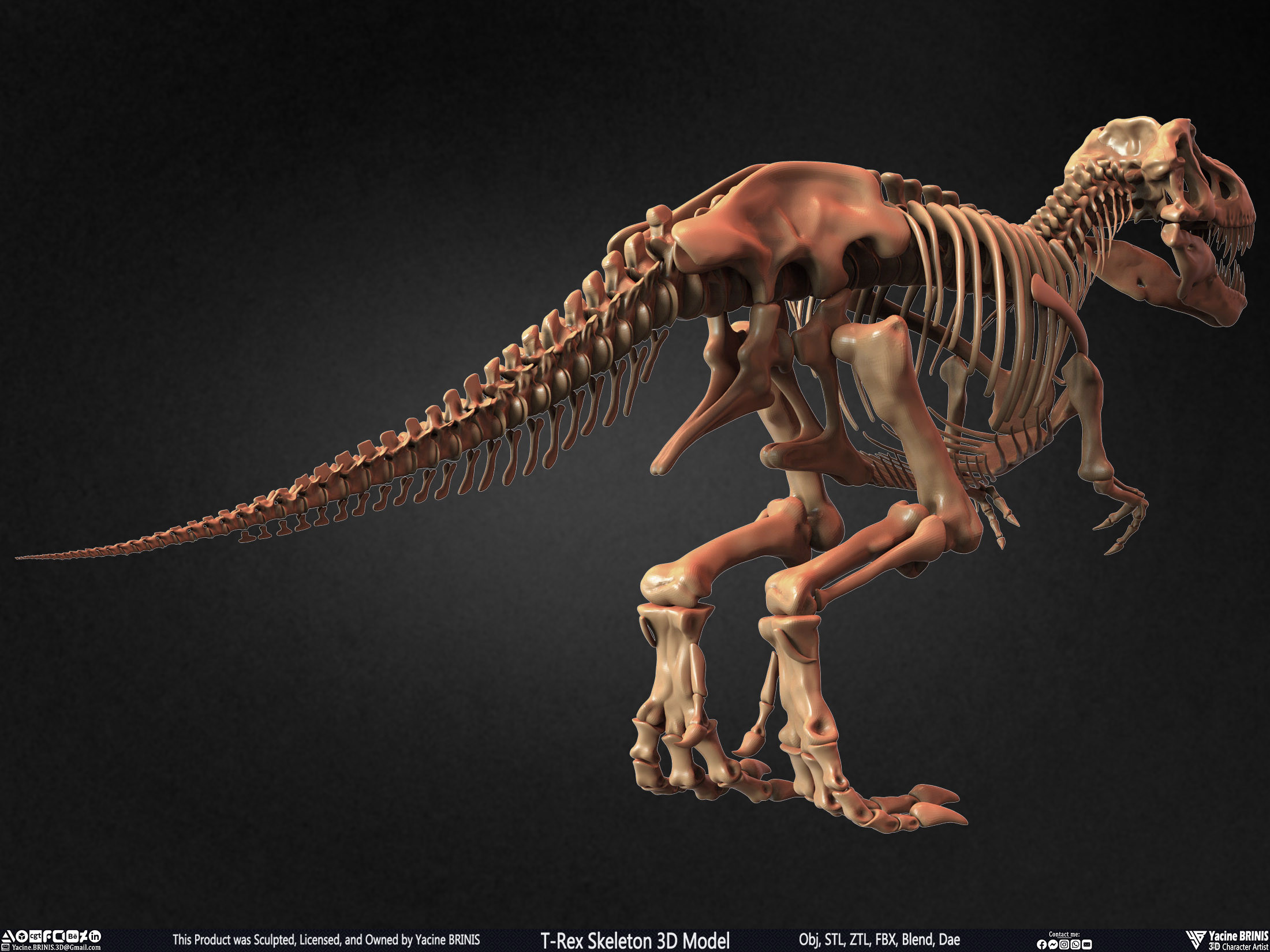 T-Rex Skeleton 3D Model (Tyrannosaurus Rex) Sculpted By Yacine BRINIS Set 008