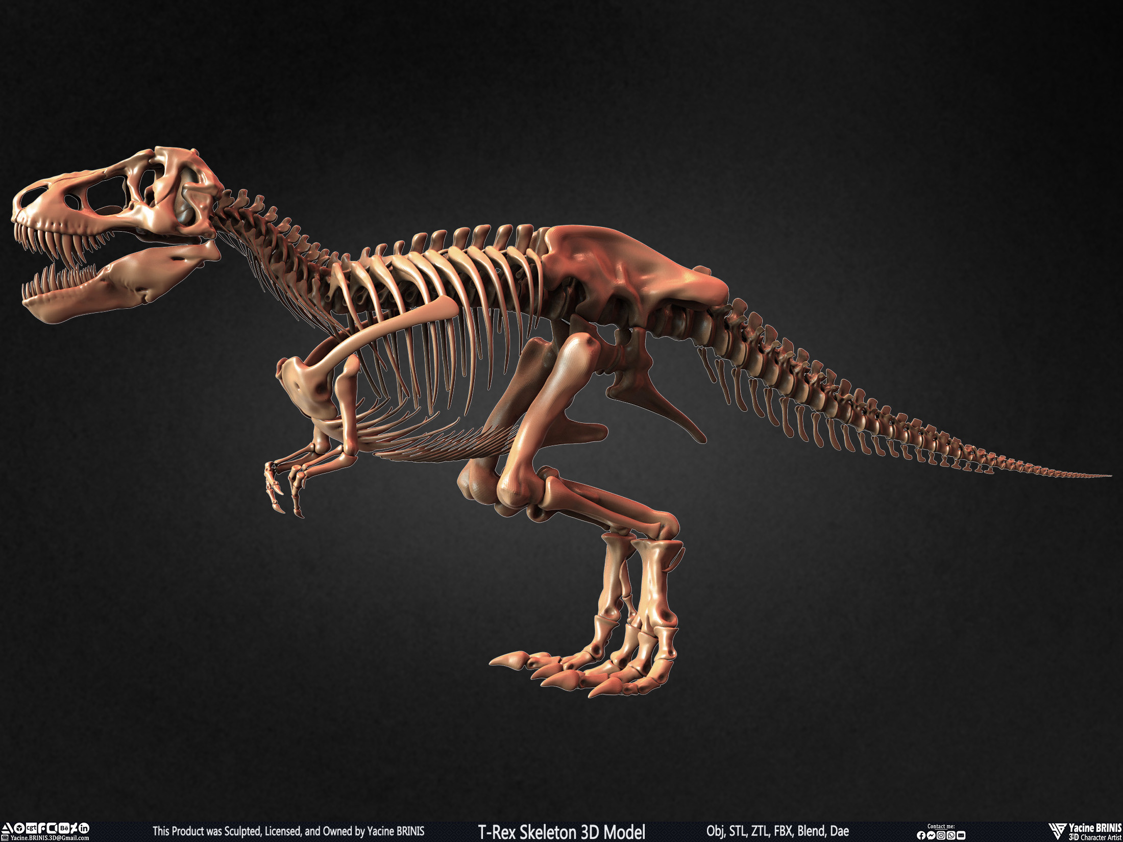 T-Rex Skeleton 3D Model (Tyrannosaurus Rex) Sculpted By Yacine BRINIS Set 010