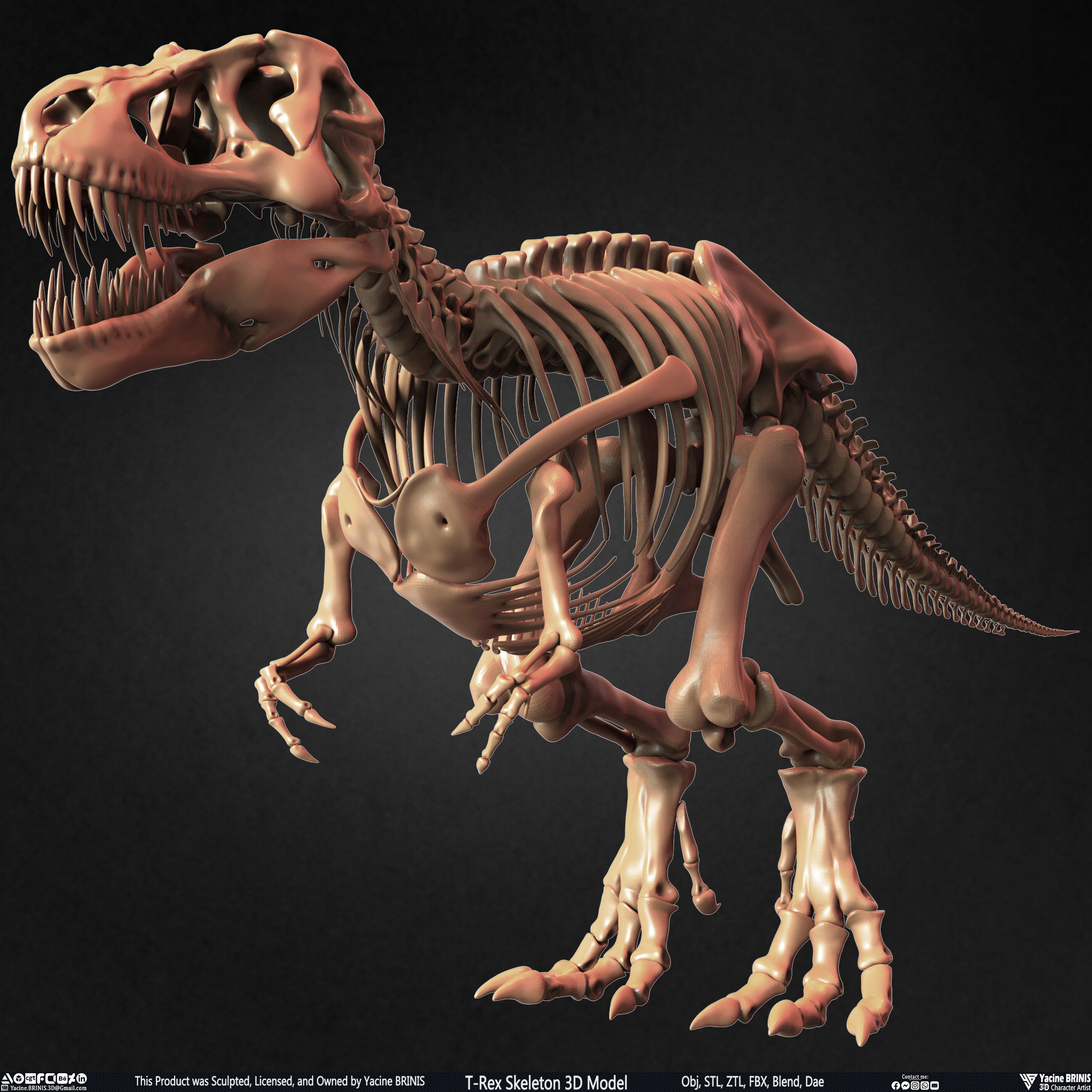 T-Rex Skeleton 3D Model (Tyrannosaurus Rex) Sculpted By Yacine BRINIS Set 012