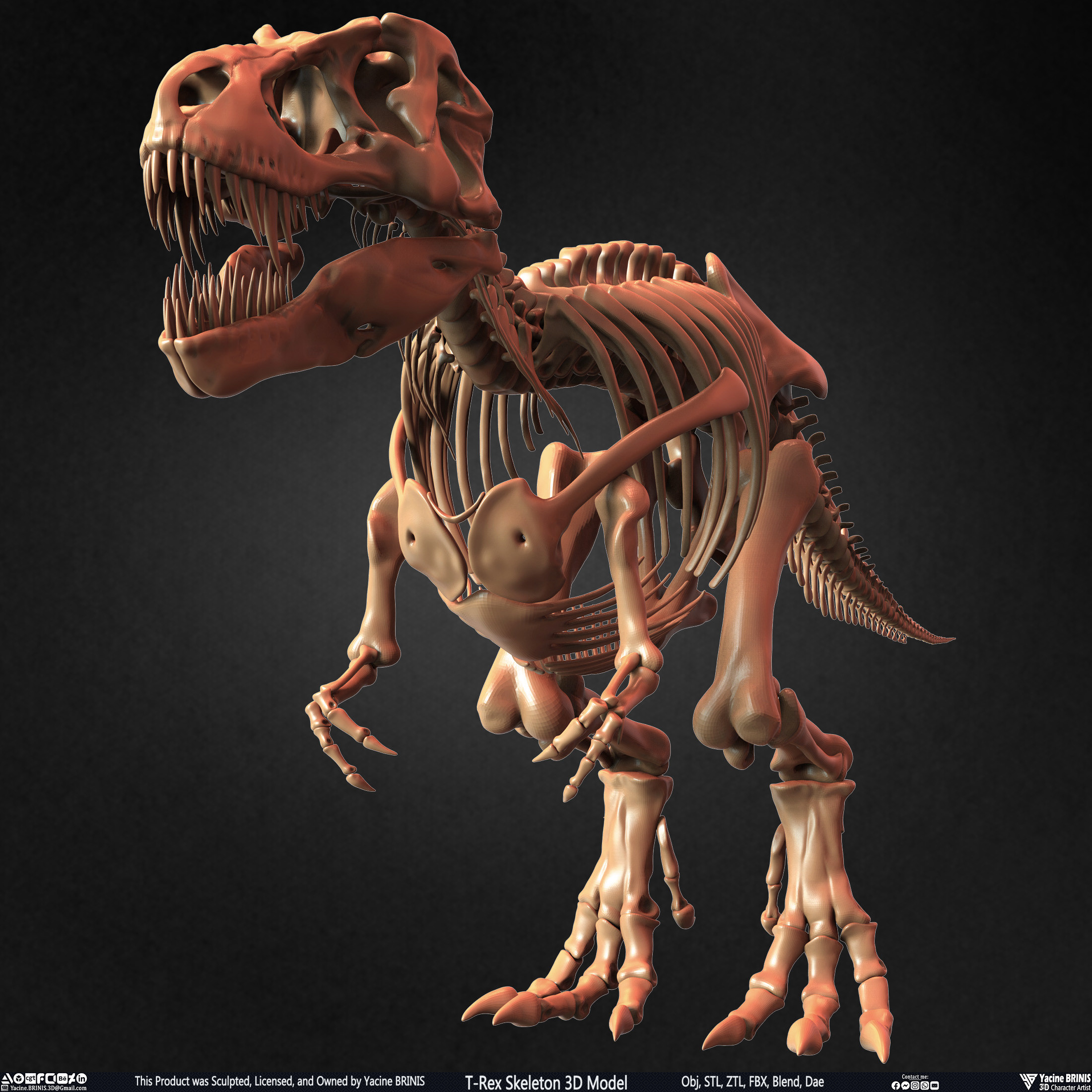 T-Rex Skeleton 3D Model (Tyrannosaurus Rex) Sculpted By Yacine BRINIS Set 013