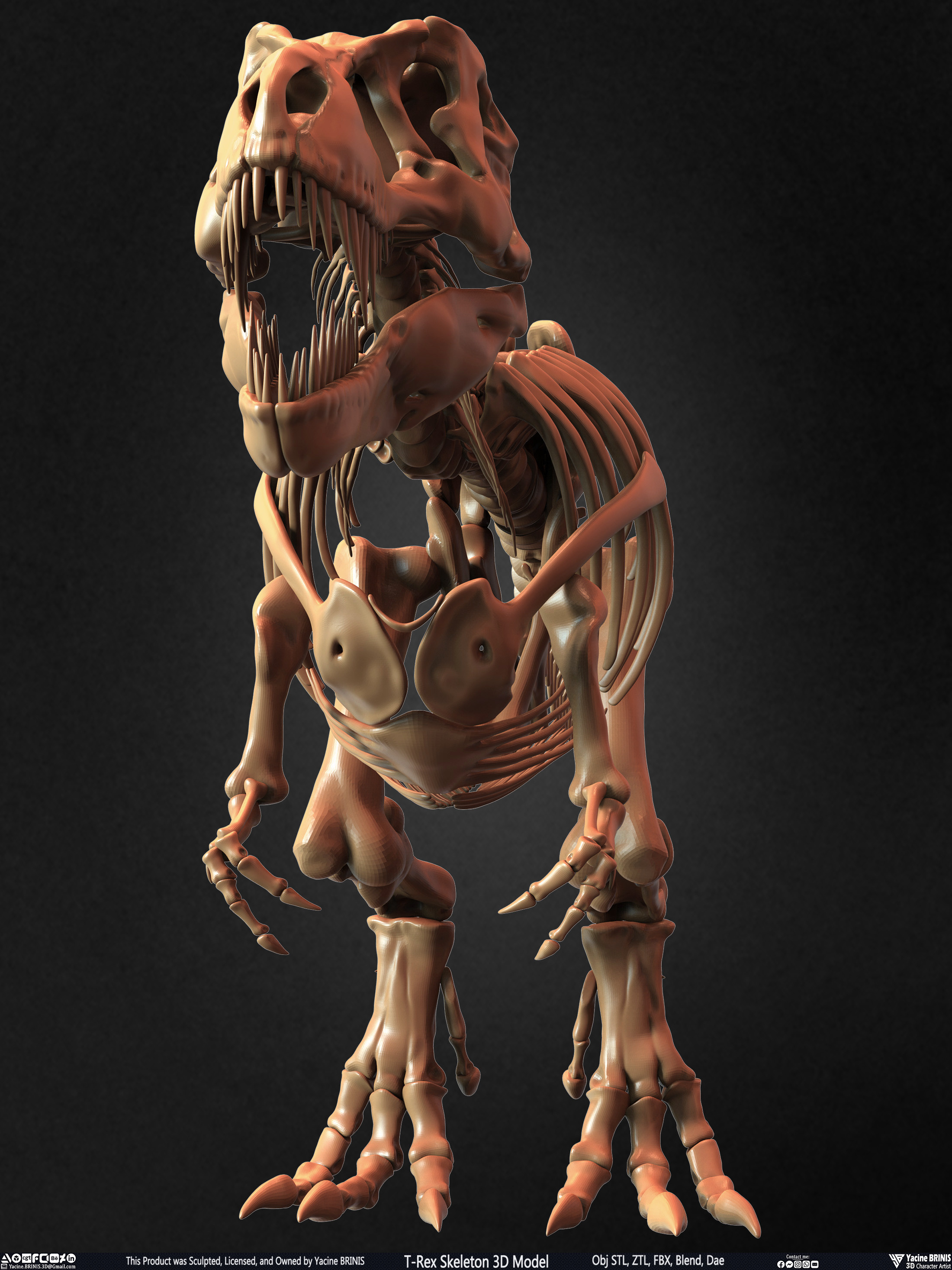 T-Rex Skeleton 3D Model (Tyrannosaurus Rex) Sculpted By Yacine BRINIS Set 014