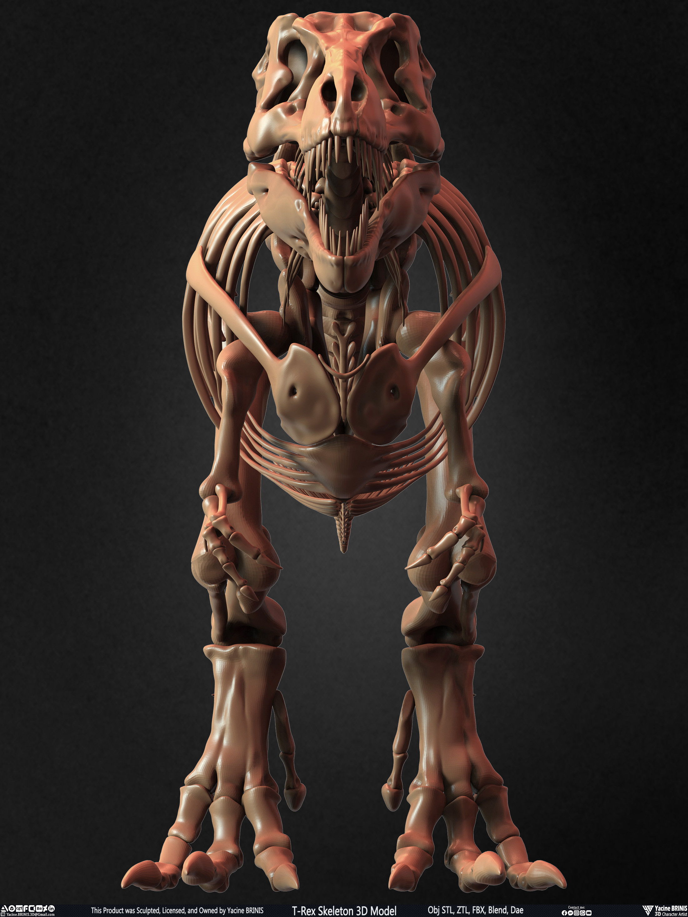 T-Rex Skeleton 3D Model (Tyrannosaurus Rex) Sculpted By Yacine BRINIS Set 015