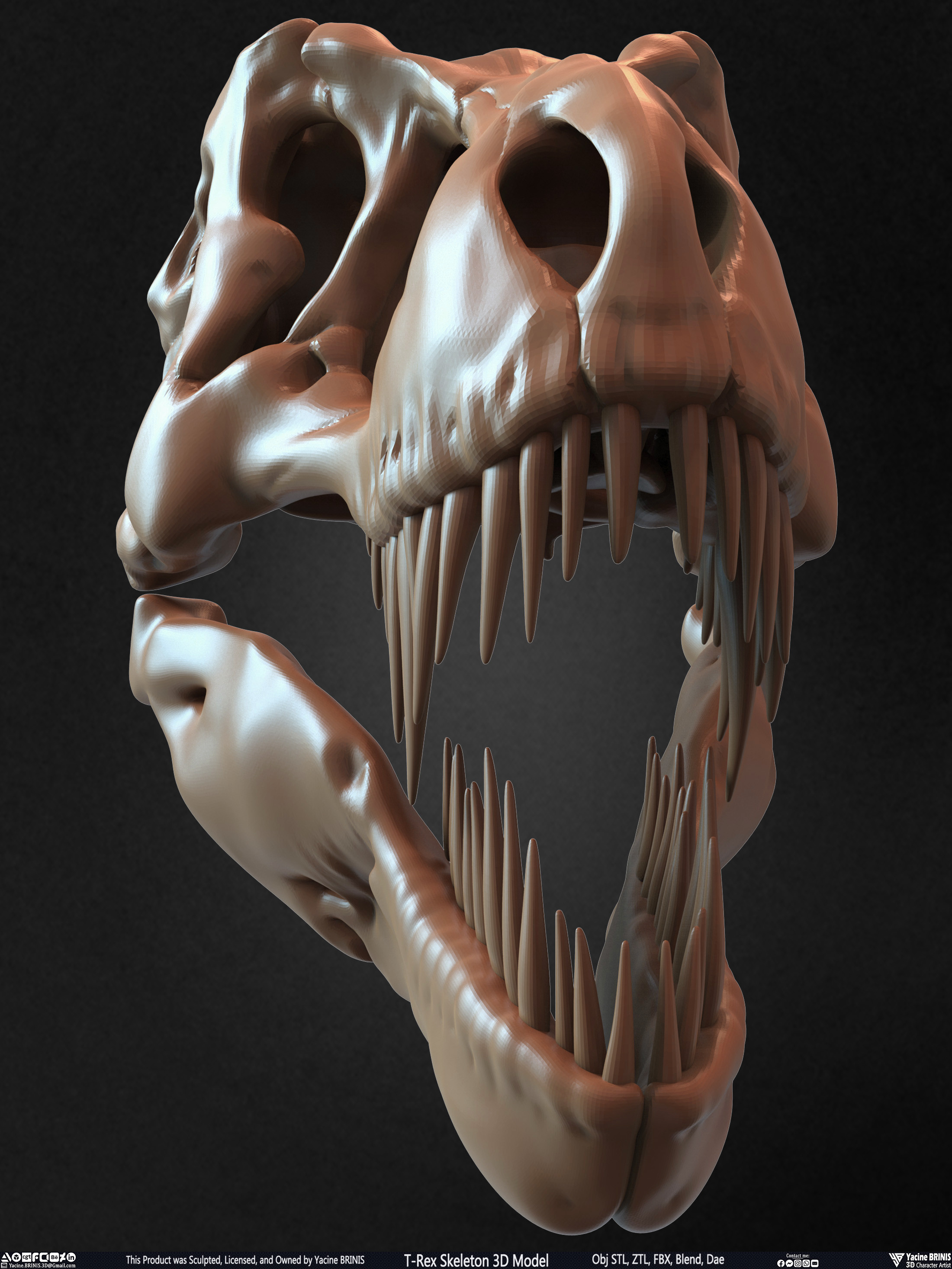 T-Rex Skeleton 3D Model (Tyrannosaurus Rex) Sculpted By Yacine BRINIS Set 018