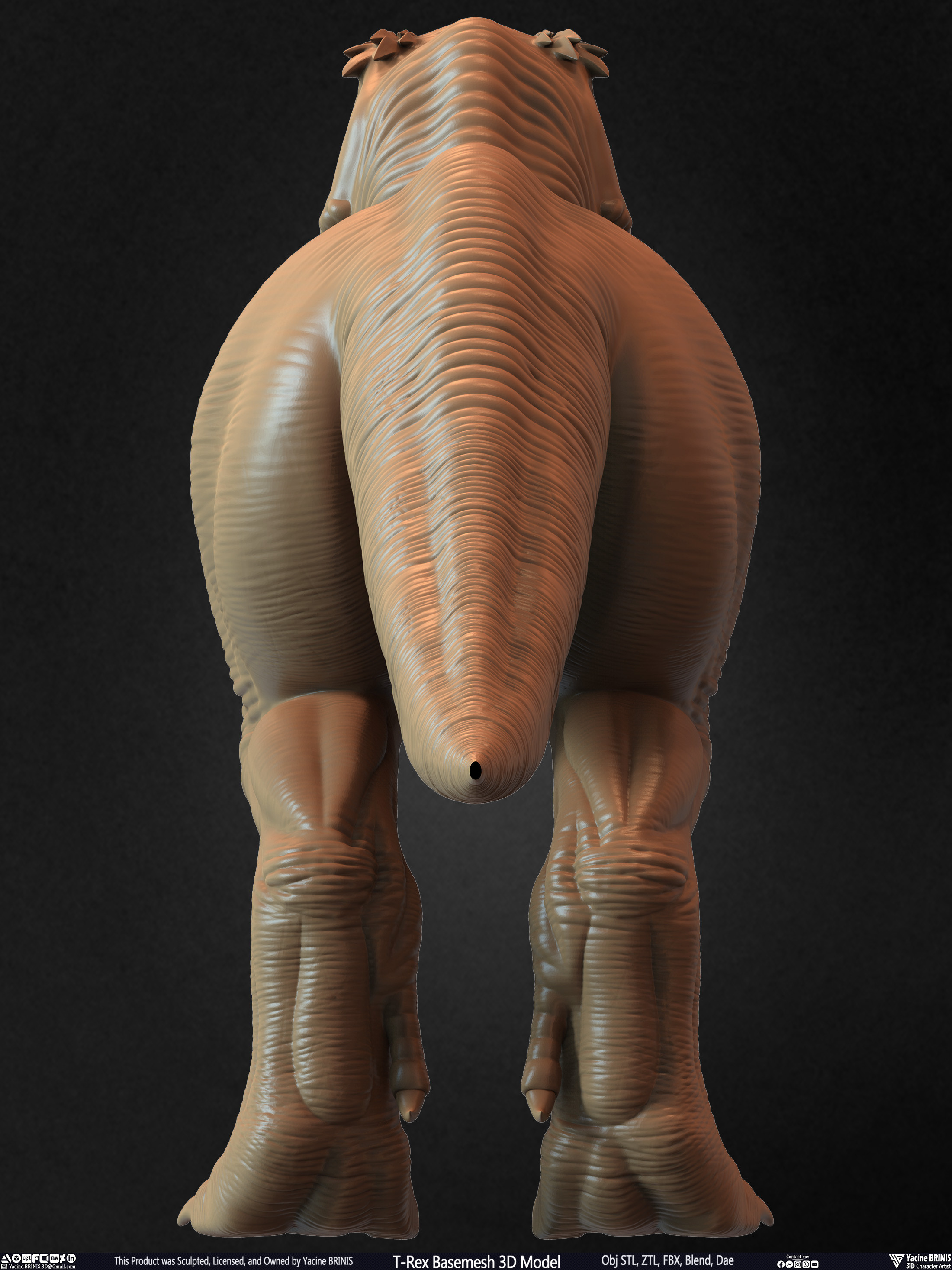 T-Rex Basemesh 3D Model (Tyrannosaurus Rex) Sculpted By Yacine BRINIS Set 007