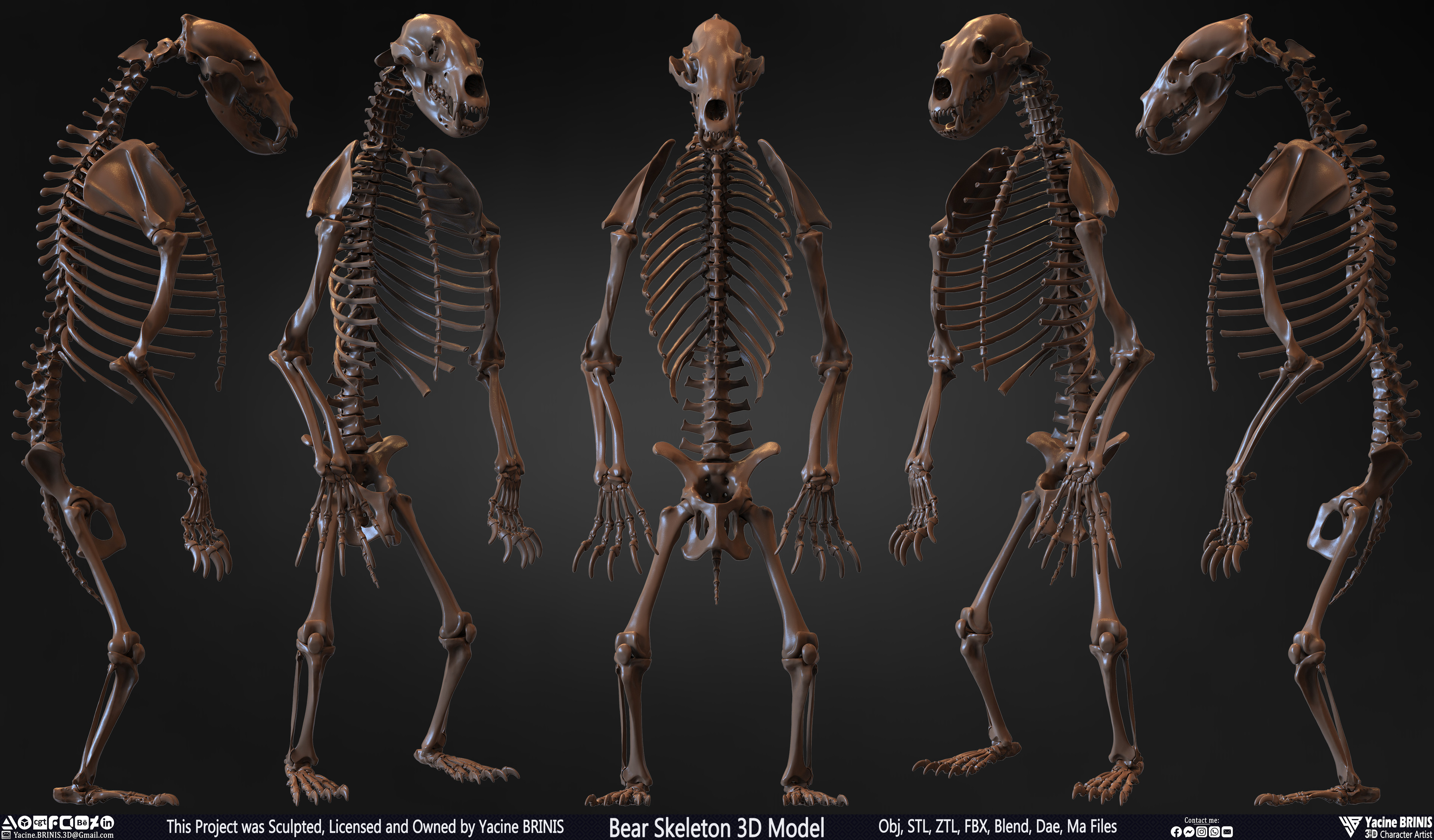 Bear Skeleton 3D Model Sculpted by Yacine BRINIS Set 002