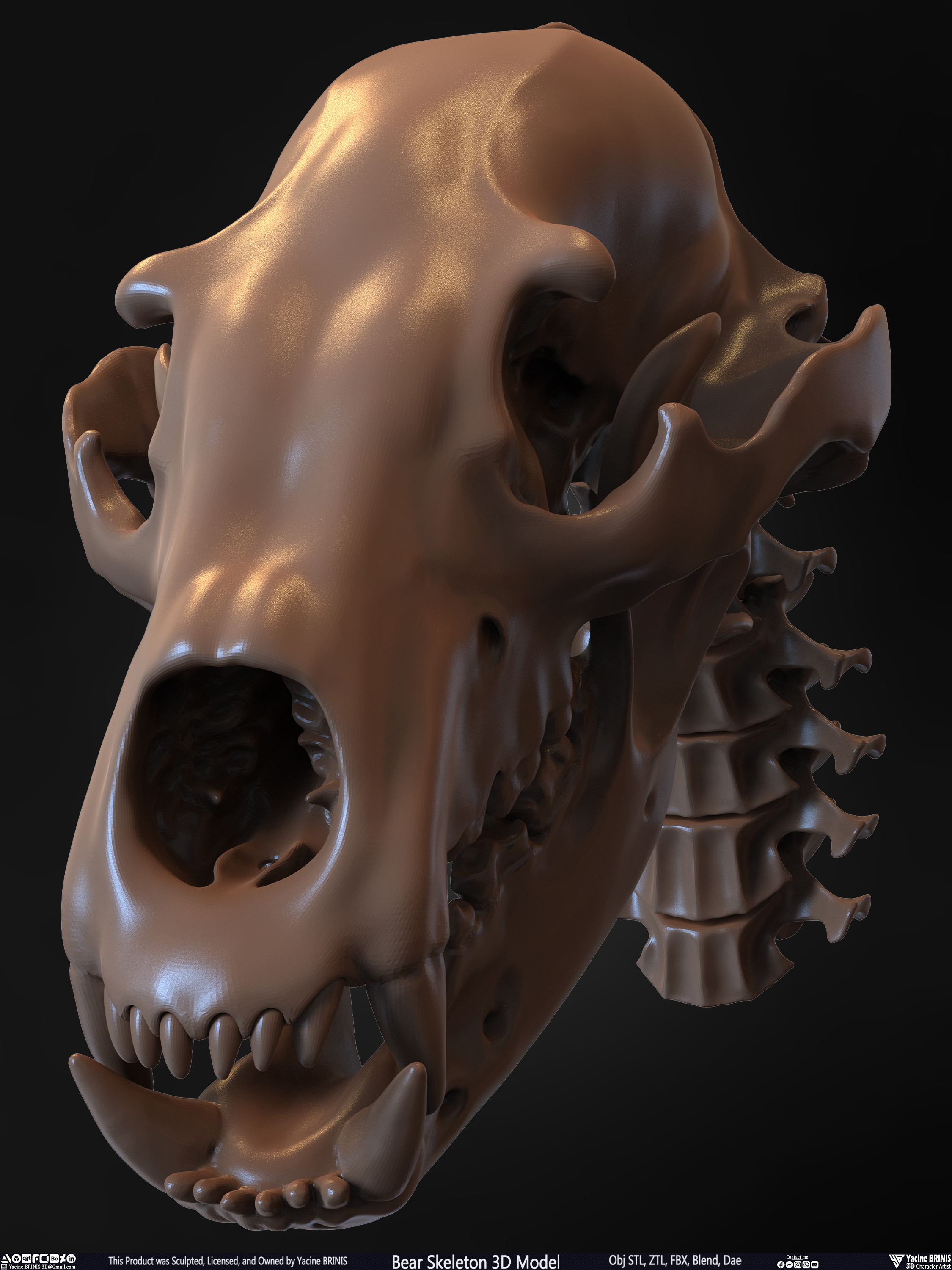 Bear Skeleton 3D Model Sculpted by Yacine BRINIS Set 029