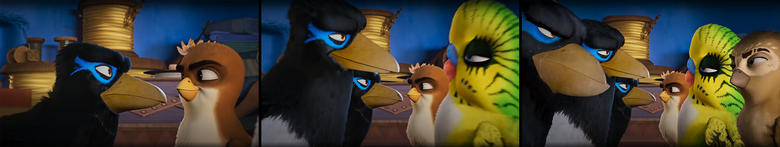 Magpie trio