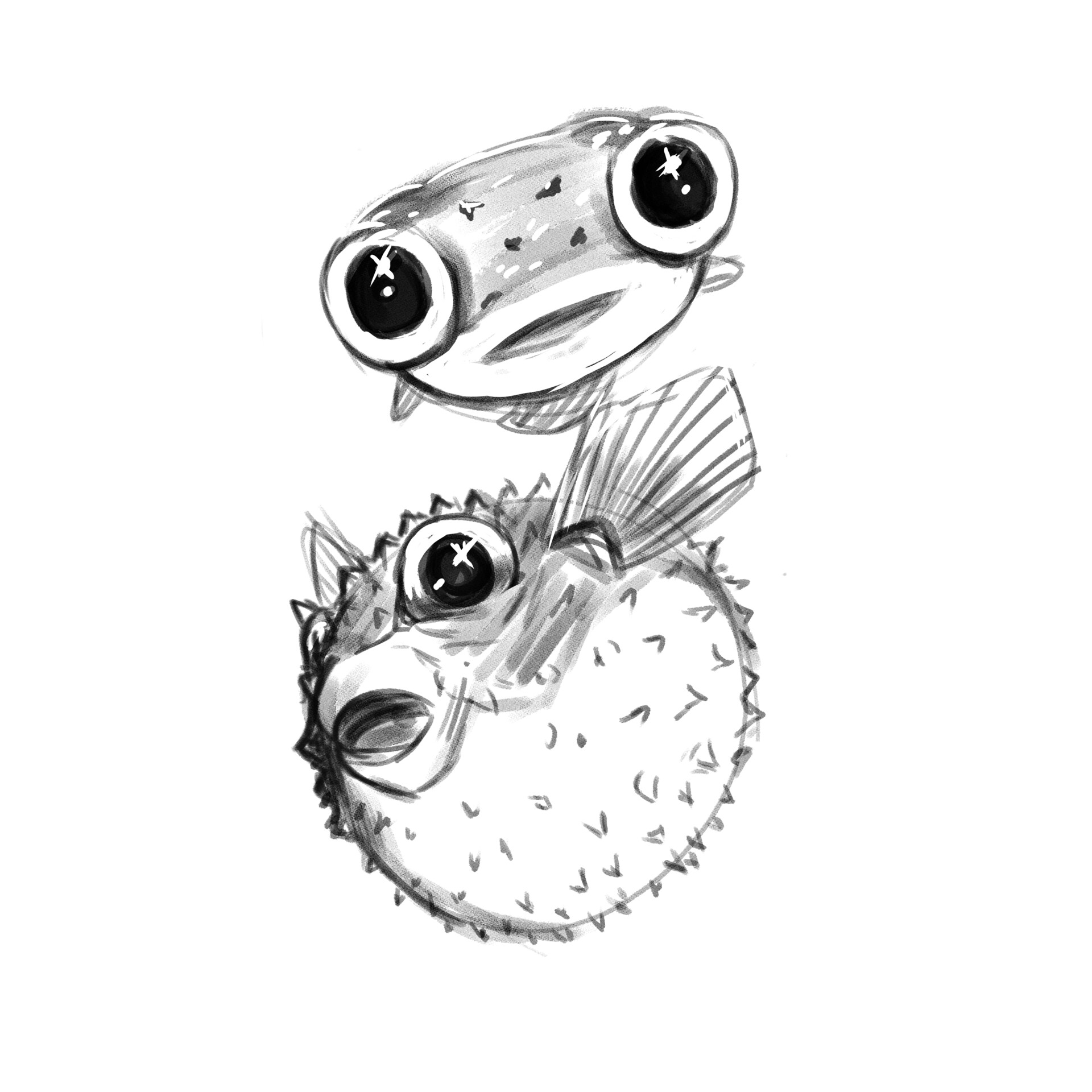 ArtStation - Blowfish Study