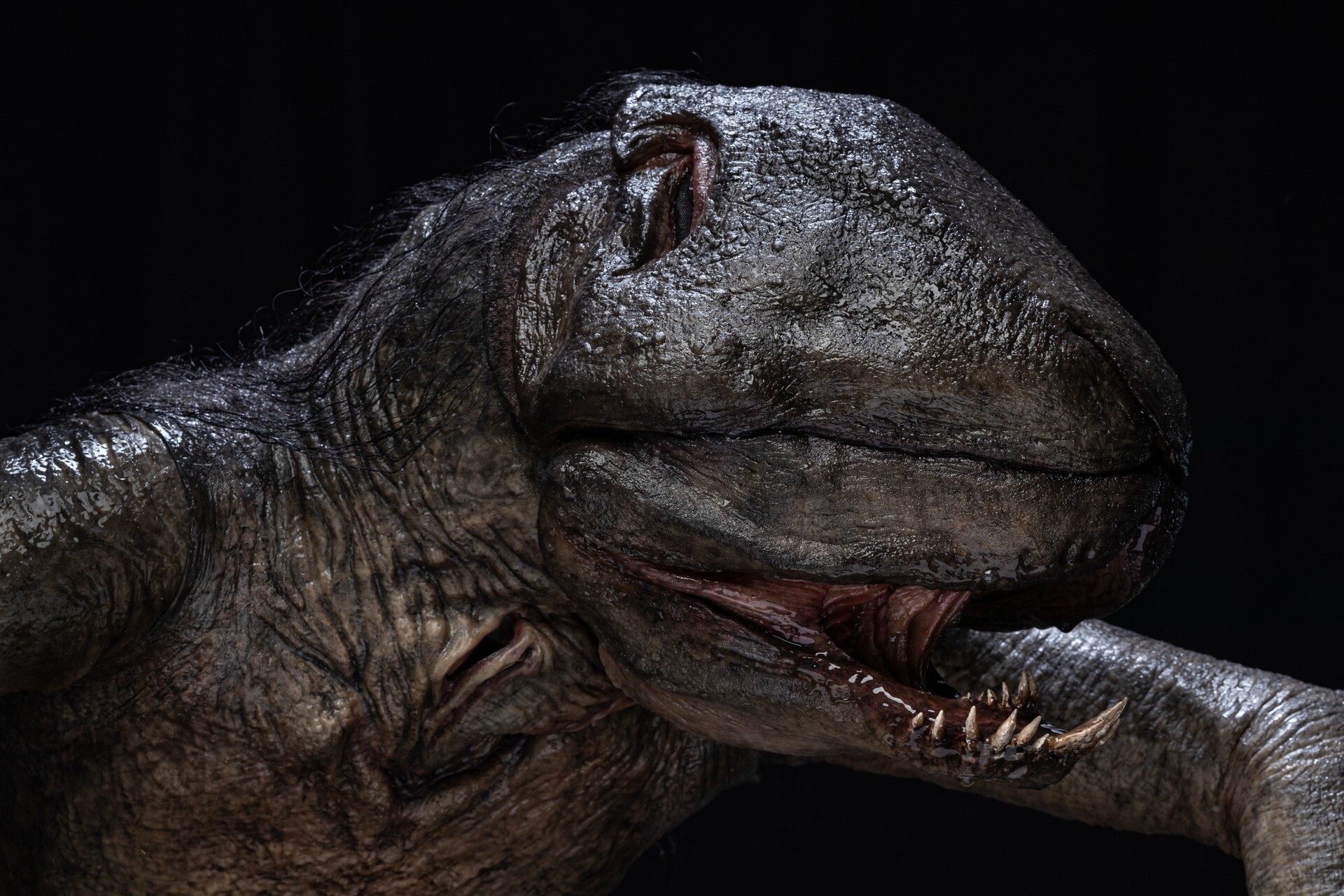 Adam J. Middleton The Tank Creature Work