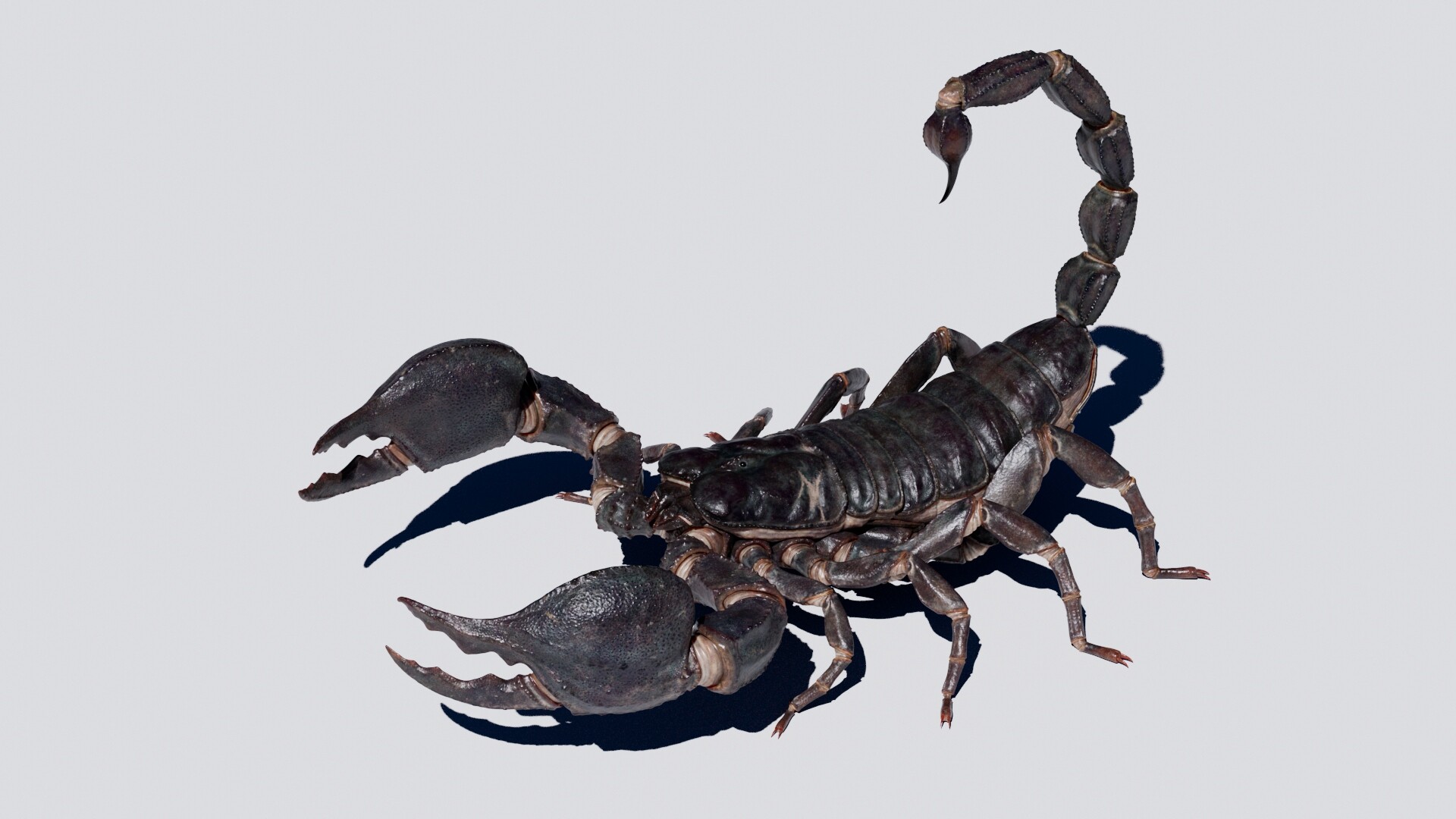 ArtStation Emperor Scorpion