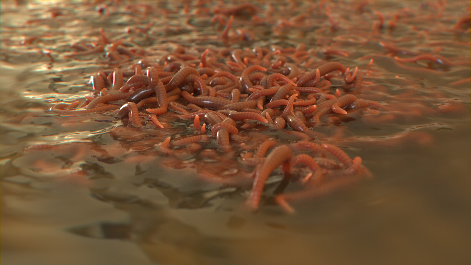 Houdini Procedural Worms