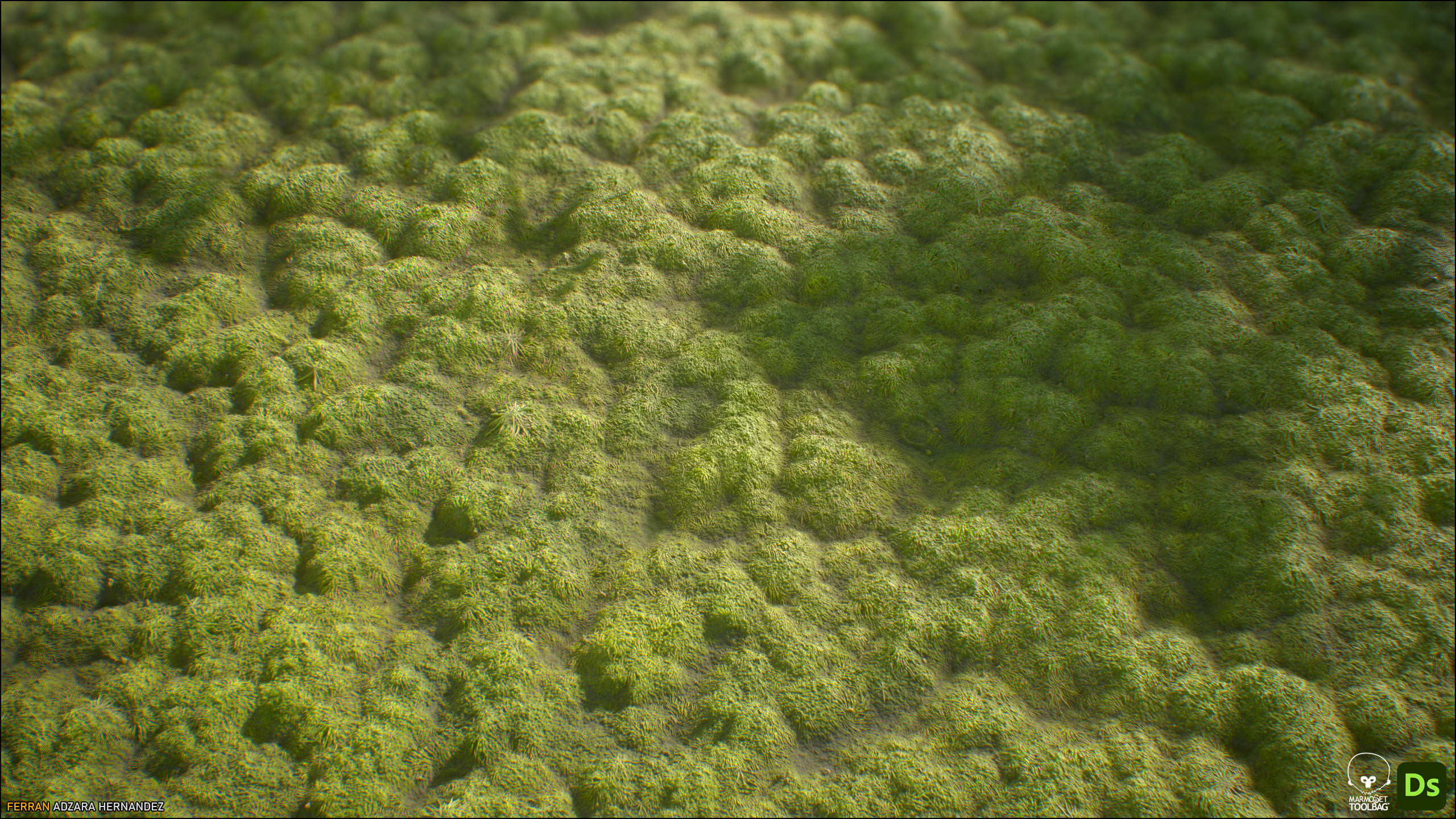 Contextual Render in Marmoset