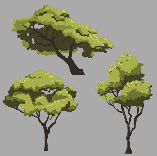 Tree Shape Study