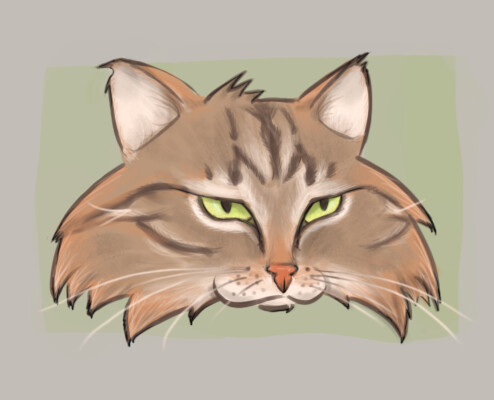 Cat Doodle