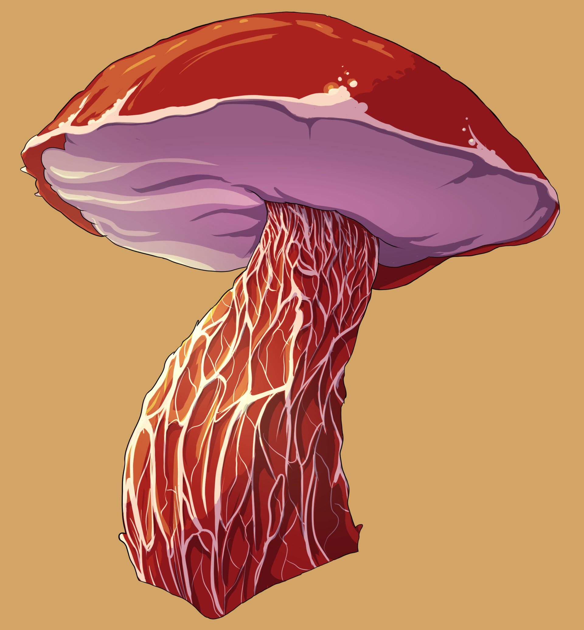 Shroom Q