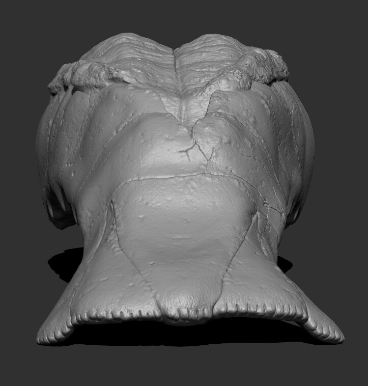 Zbrush_Lobster
