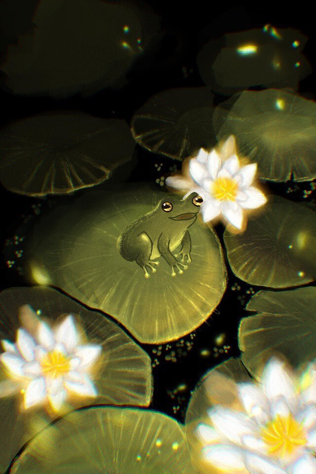 srearepospolo - lillypad frog, wallpaper request