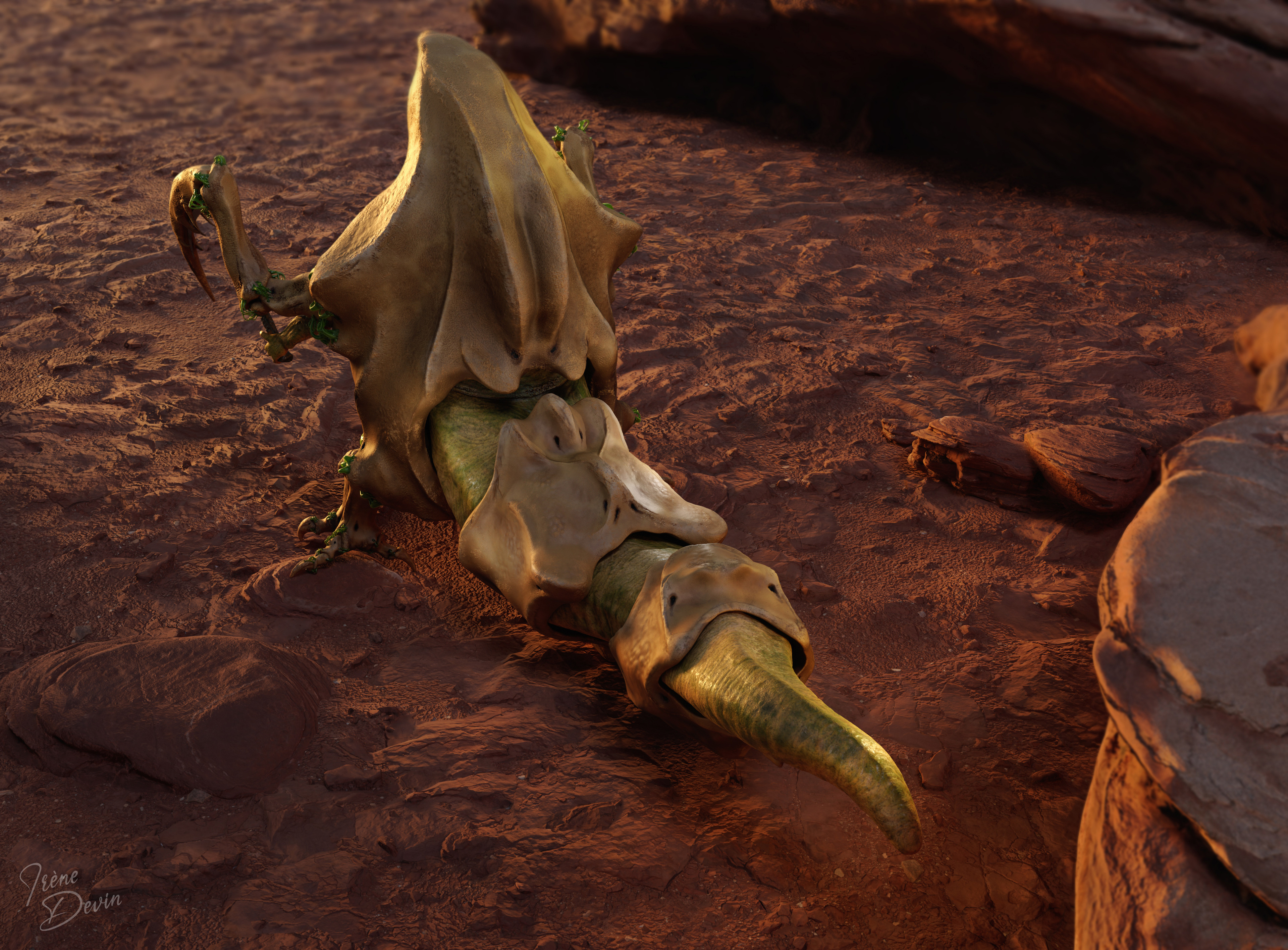 Xinoehp the Hutt marmoset render