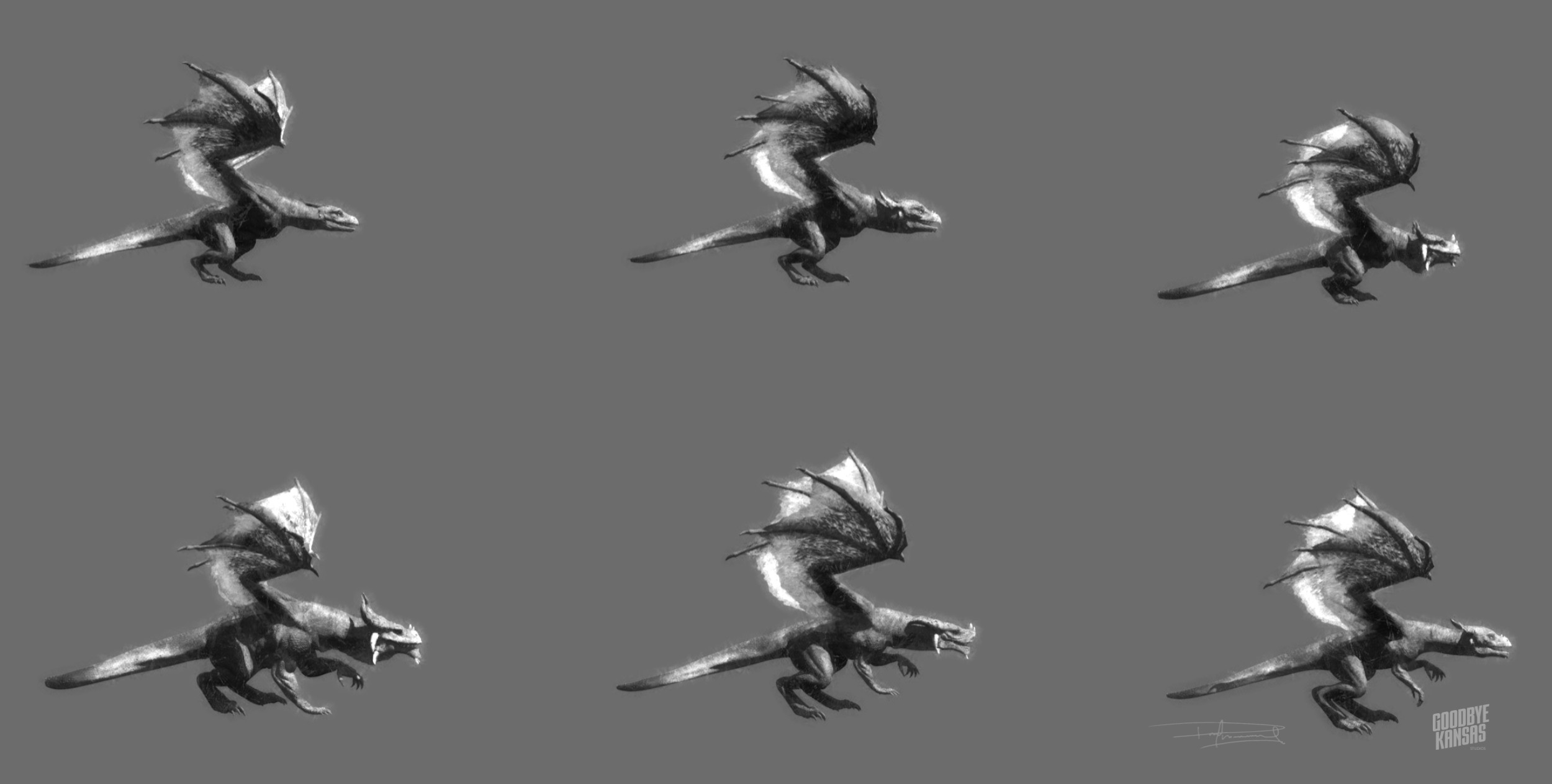 biped and quadruped anatomy variations  