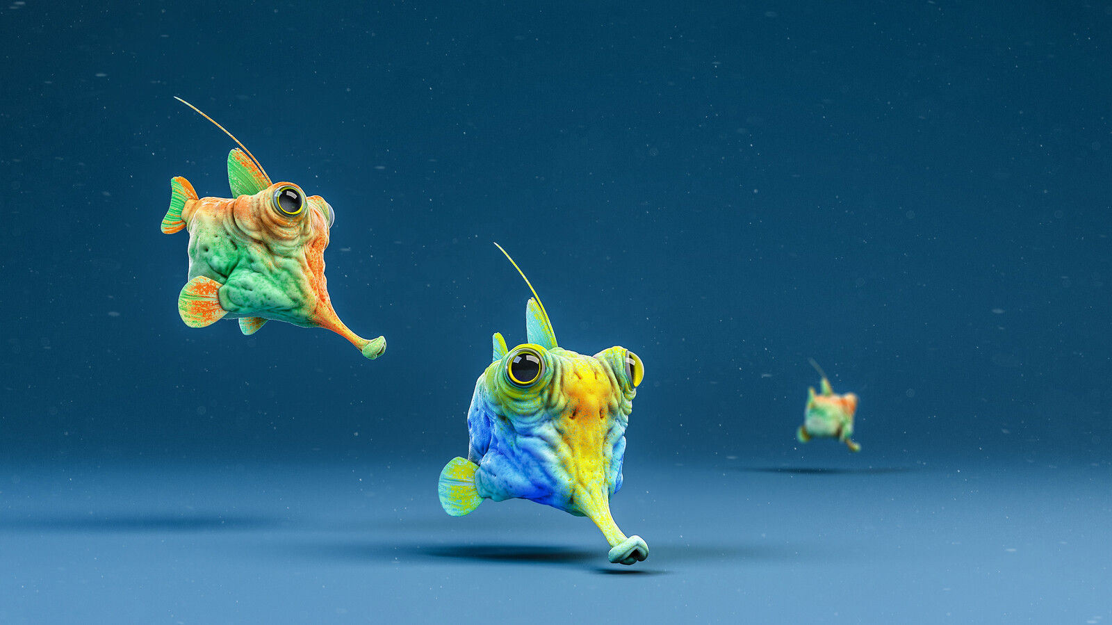 SeaCritters : Cubish
