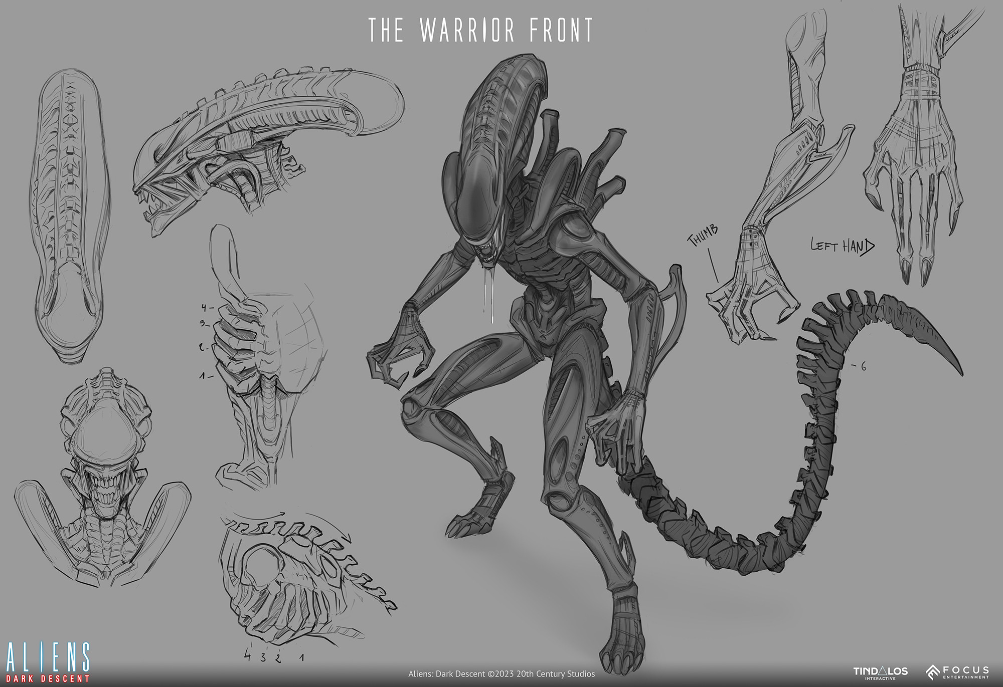 sketches for the Warrior Xenomorph