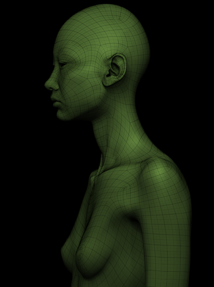 Topology after retopology and reprojection.