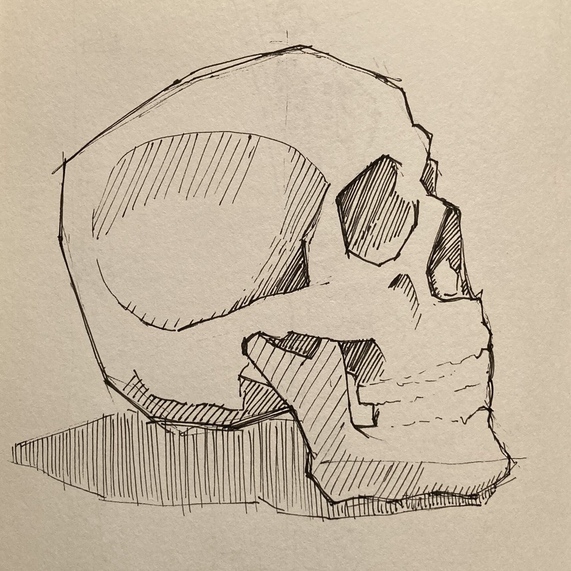 ArtStation - Skull Practice 230706
