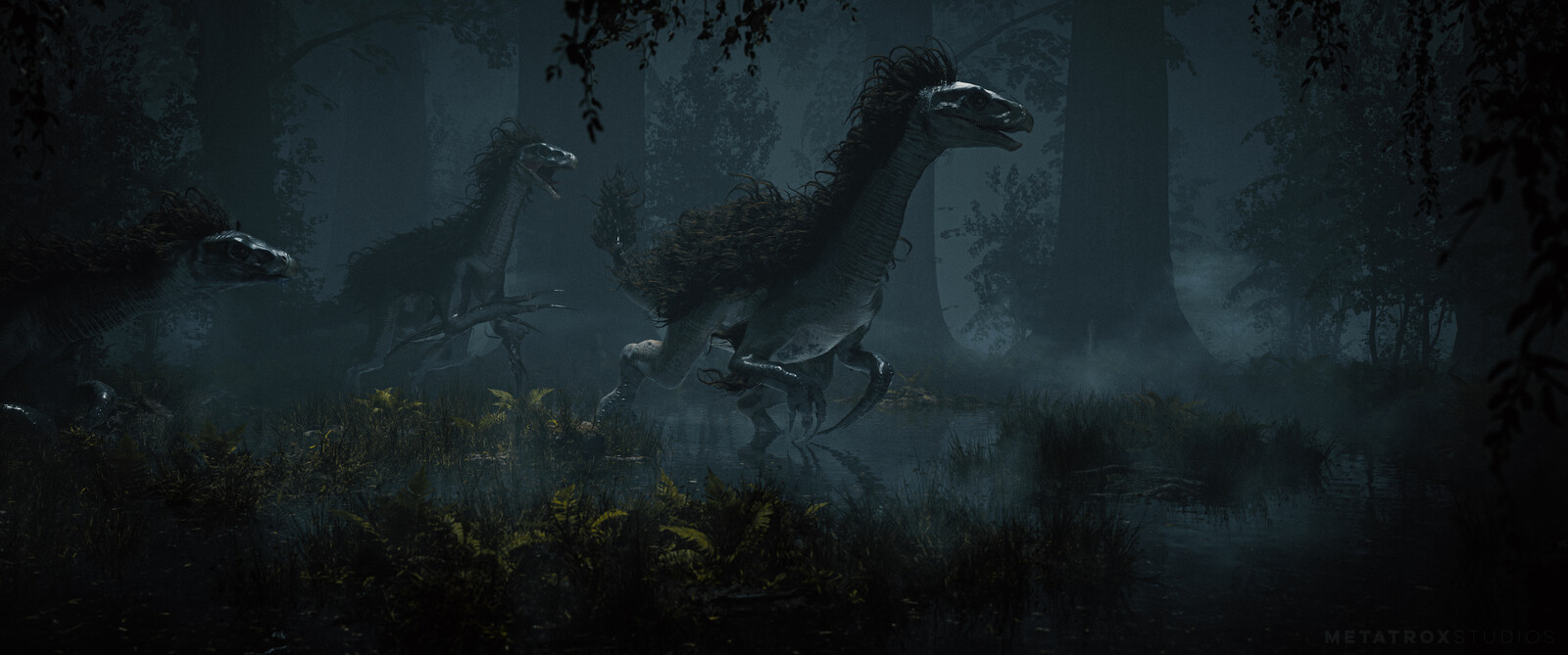 Swamp Pack