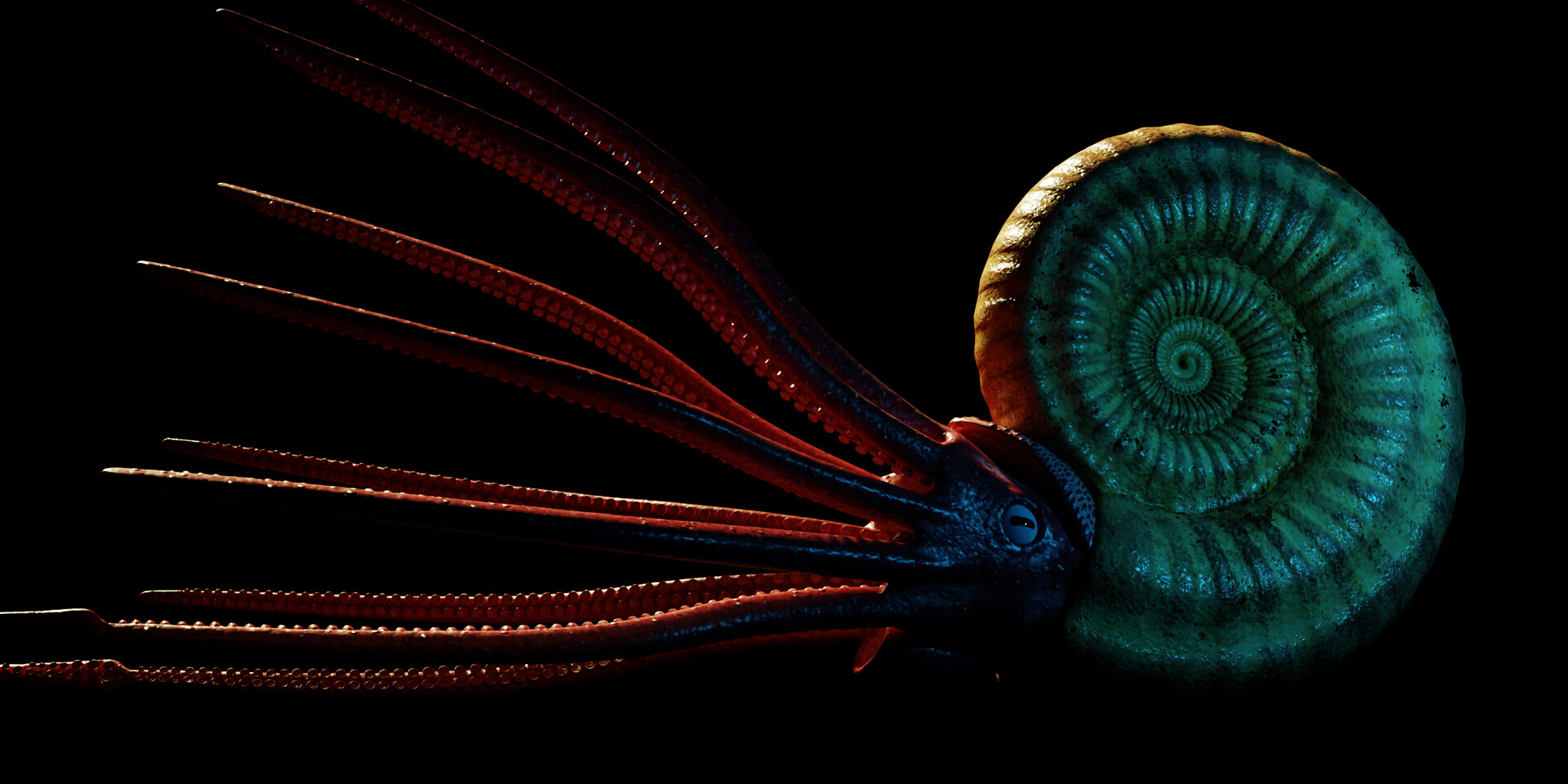 ArtStation Focus on the Ammonite