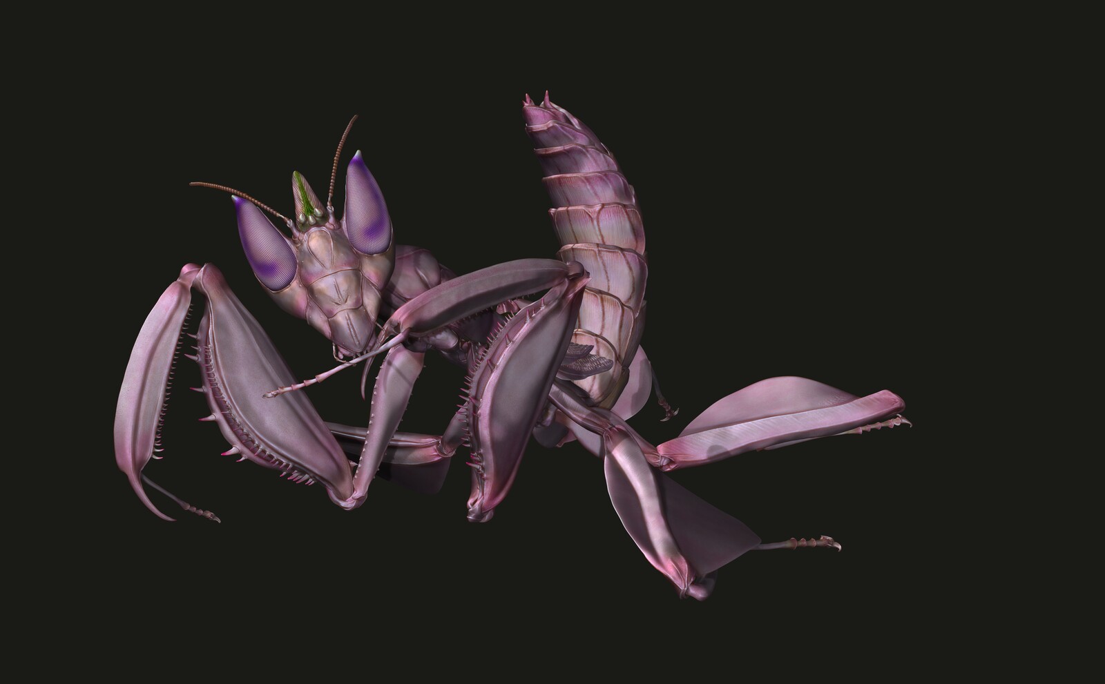 Zbrush polypaint